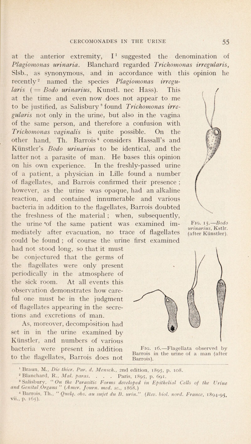 mi at the anterior extremity, I ^ suggested the denomination of Plagiomonas urinaria. Blanchard regarded Trichomonas irregularis^ Slsb., as synonymous, and in accordance with this opinion he recently named the species Plagiomonas irregu- laris (— Bodo urinarius, Kunstl. nec Hass). This ^ ^ at the time and even now does not appear to me to be justified, as Salisburyfound Trichomonas irre- gularis not only in the urine, but also in the vagina of the same person, and therefore a confusion with Trichomonas vaginalis is quite possible. On the other hand, Th. Barrois^ considers Hassall’s and Kiinstler’s Bodo urinarius to be identical, and the latter not a parasite of man. He bases this opinion on his own experience. In the freshly-passed urine of a patient, a physician in Lille found a number of fiagellates, and Barrois confirmed their presence ; however, as the urine was opaque, had an alkaline reaction, and contained innumerable and various bacteria in addition to the flagellates, Barrois doubted the freshness of the material ; when, subsequently, the urine *of the same patient was examined im- mediately after evacuation, no trace of flagellates could be found ; of course the urine first examined had not stood long, so that it must be conjectured that the germs of the flagellates were only present periodically in the atmosphere of the sick room. At all events this observation demonstrates how care- ful one must be in the judgment of flagellates appearing in the secre- tions and excretions of man. As, moreover, decomposition had set in in the urine examined by Künstler, and numbers of various bacteria were present in addition i6.—Fiageiiata observed by , , T 1 T-» • Barrois in the urine of a man (after to the flagellates, Barrois does not Barrois). Fig. 15.—Bodo urinarius, Kstlr. (after Künstler). ‘WT •j/, ‘f» ' Braun, M., Die thier. Par. d. Mensch., 2nd edition, 1895, P- y Blanchard, R., Mai. paras. . . . Paris, 1895, p. 691. ^ Salisbury,  On the Parasitic Forms developed in Epithelial Cells of the Urine and Genital Organs ” (Amer. Journ. med. sc., 1868.) Barrois, Th., “ Quelq. obs. au sufet du B. urin.” {Pev. hiol. nord. France, 1894-95, vii., p. 165).