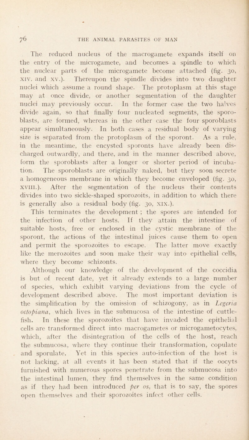 The reduced nucleus of the macrogamete expands itself on the entry of the microgamete, and becomes a spindle to which the nuclear parts of the microgamete become attached (hg. 30, XIV. and xv.). Thereupon the spindle divides into two daughter nuclei which assume a round shape. The protoplasm at this stage may at once divide, or another segmentation of the daughter nuclei may previously occur. In the former case the two halves divide again, so that hnally four nucleated segments, the sporo- blasts, are formed, whereas in the other case the four sporoblasts appear simultaneously. In both cases a residual body of varying size is separated from the protoplasm of the sporont. As a rule, in the meantime, the encysted sporonts have already been dis- charged outwardly, and there, and in the manner described above, form the sporoblasts after a longer or shorter period of incuba- tion. The sporoblasts are originally naked, but they soon secrete a homogeneous membrane in which they become enveloped (fig. 30, XVIII.). After the segmentation of the nucleus their contents divides into two sickle-shaped sporozoits, in addition to which there is generally also a residual body (fig. 30, xix.). This terminates the development ; the spores are intended for the infection of other hosts. If they attain the intestine of suitable hosts, free or enclosed in the cystic membrane of the sporont, the actions of the intestinal juices cause them to open and permit the sporozoites to escape. The latter move exactly like the merozoites and soon make their way into epithelial cells, where they become schizonts. Although our knowledge of the development of the coccidia is but of recent date, yet it already extends to a large number of species, which exhibit varying deviations from the cycle of development described above. The most important deviation is the simplification by the omission of schizogony, as in Legeria octopiana, which lives in the submucosa of the intestine of cuttle- fish. In these the sporozoites that have invaded the epithelial cells are transformed direct into macrogametes or microgametocytes, which, after the disintegration of the cells of the host, reach the submucosa, where they continue their transformation, copulate , and sporulate. Yet in this species auto-infection of the host is not lacking, at all events it has been stated that if the oocyts furnished with numerous spores penetrate from the submucosa into the intestinal lumen, they find themselves in the same condition as if they had been introduced per os, that is to say, the spores open themselves and their sporozoites infect other cells.