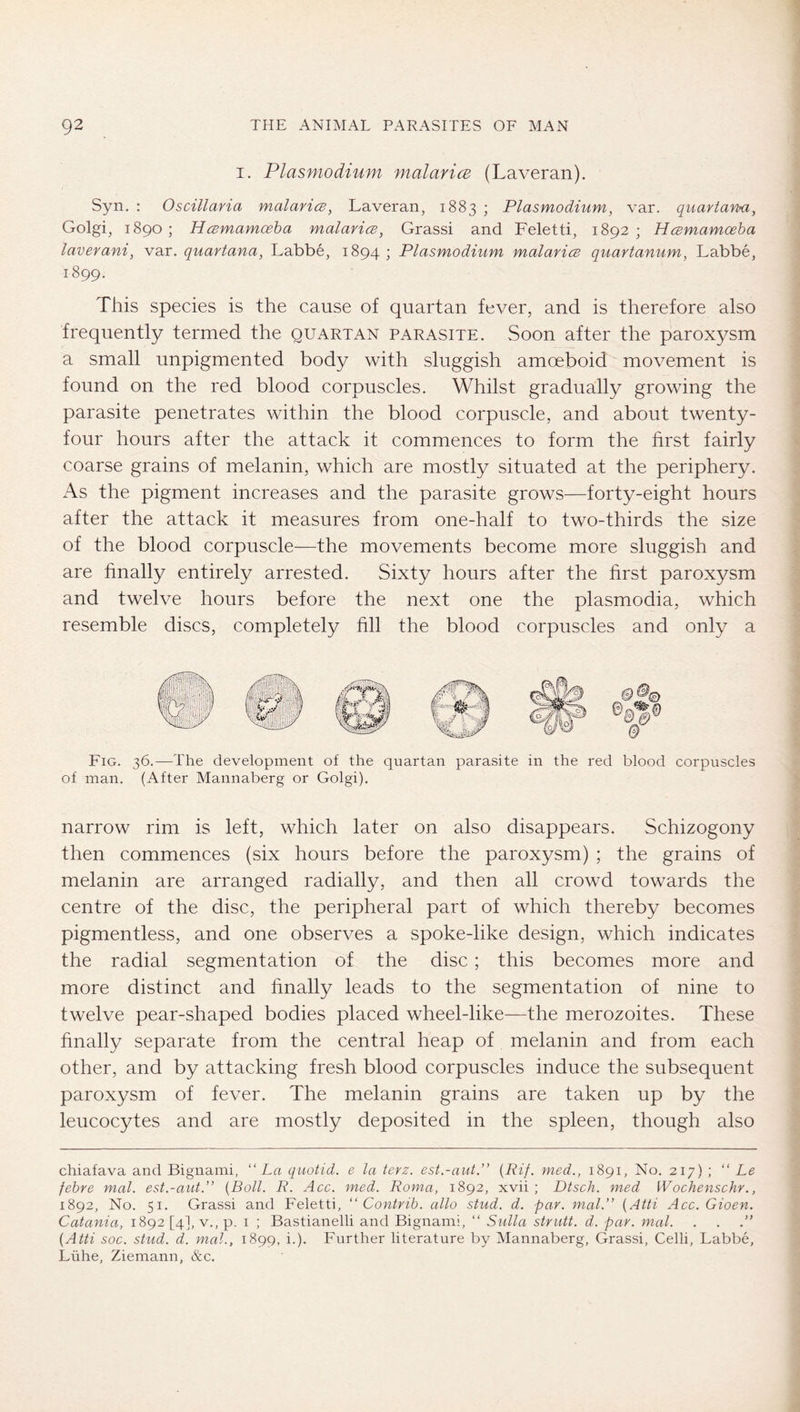 I. Plasmodium malarice (Laveran). Syn. : Oscillavia malarice, Laveran, 1883 ; Plasmodium, var, quartami, Golgi, 1890; HcBmamoeha malaricB, Grassi and Feletti, 1892; H<smamceha layerani, var. quartana, Labbe, 1894 ; Plasmodium malari(B quartanum, Labbe, 1899. This species is the cause of quartan fever, and is therefore also frequently termed the quartan parasite. Soon after the paroxysm a small unpigmented body with sluggish amoeboid movement is found on the red blood corpuscles. Whilst gradually growing the parasite penetrates within the blood corpuscle, and about twenty- four hours after the attack it commences to form the hrst fairly coarse grains of melanin, which are mostly situated at the periphery. As the pigment increases and the parasite grows—forty-eight hours after the attack it measures from one-half to two-thirds the size of the blood corpuscle—the movements become more sluggish and are finally entirely arrested. Sixty hours after the hrst paroxysm and twelve hours before the next one the plasmodia, which resemble discs, completely hll the blood corpuscles and only a Fig. 36.—The development of the quartan parasite in the red blood corpuscles of man. (After Mannaberg or Golgi). narrow rim is left, which later on also disappears. Schizogony then commences (six hours before the paroxysm) ; the grains of melanin are arranged radially, and then all crowd towards the centre of the disc, the peripheral part of which thereby becomes pigmentless, and one observes a spoke-like design, which indicates the radial segmentation of the disc; this becomes more and more distinct and hnally leads to the segmentation of nine to twelve pear-shaped bodies placed wheel-like—the merozoites. These hnally separate from the central heap of melanin and from each other, and by attacking fresh blood corpuscles induce the subsequent paroxysm of fever. The melanin grains are taken up by the leucocytes and are mostly deposited in the spleen, though also chiafava and Biguami, “La qiiotid. e la terz. est.-aut.” {Rif. med., 1891, No. 217) ; “ Le fehre mal. est.-aut.” {Boll. R. Acc. med. Roma, 1892, xvii ; Dtsch. med Wochenschr., 1892, No. 51. Grassi and Feletti, ” Contrib. alio stud. d. par. mal.” {Atti Acc. Gioen. Catania, 1892 [4], v., p. i ; Bastianelli and Bignami, “ Sulla strutt. d. par. mal. . . .” {Atti soc. stud. d. mal., 1899, i.). Further literature by Mannaberg, Grassi, Celli, Labbe, Lühe, Ziemann, &c.