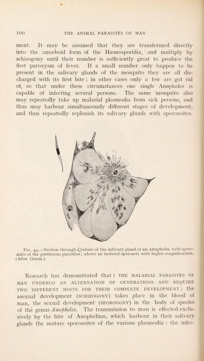 ment. It may be assumed that they are transformed directly into the amoeboid form of the Haemosporidia, and multiply by schizogony until their number is sufficiently great to produce the first paroxysm of fever. If a small number only happen to be present in the salivary glands of the mosquito they are all dis- charged with its first bite ; in other cases only a few are got rid of, so that under these circumstances one single Anopheles is capable of infecting several ‘ persons. The same mosquito also may repeatedly take up malarial plasmodia from sick persons, and thus may harbour simultaneously different stages of development, and thus repeatedly replenish its salivary glands with sporozoites. Fig. 44.—Section through a]tubule of the salivary gland of an Anopheles, with sporo- zoits of the pernicious parasites'; above an isolated sporozoit with higher magnification. (After Grassi.) Research has demonstrated that: the malarial parasites of MAN UNDERGO AN ALTERNATION OF GENERATIONS AND REQUIRE TWO DIFFERENT HOSTS FOR THEIR COMPLETE DEVELOPMENT ; the asexual development (schizogony) takes place in the blood of man, the sexual development (sporogony) in the body of species of the genus Anopheles. The transmission to man is effected exclu- sively by the bite of Anophelinse, which harbour in their salivary glands the mature sporozoites of the various plasmodia : the infec-