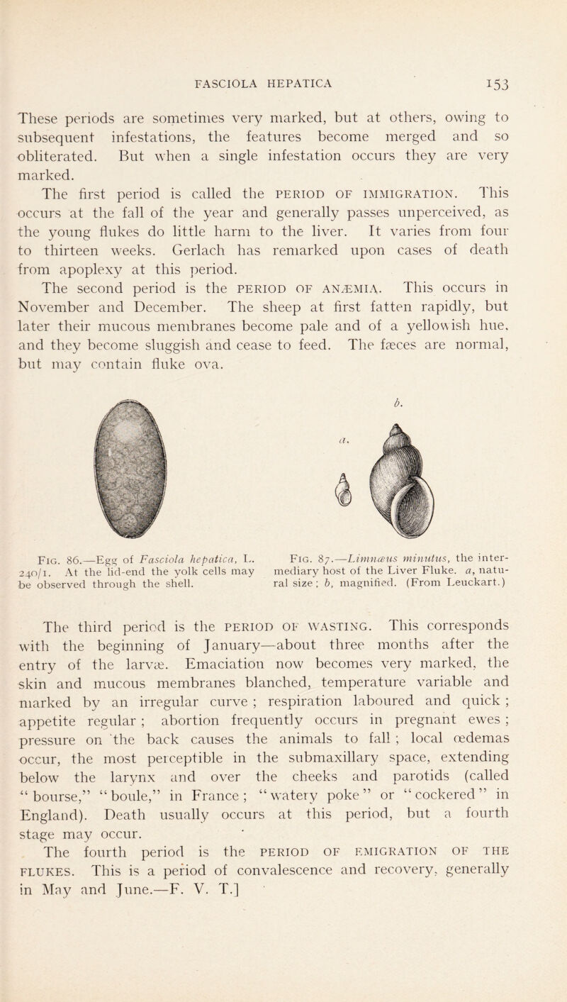 These periods are sometimes very marked, but at others, owing to subsequent infestations, the features become merged and so obliterated. But when a single infestation occurs they are very marked. The first period is called the period oe immigration. This occurs at the fall of the year and generally passes unperceived, as the young flukes do little harm to the liver. It varies from four to thirteen weeks. Gerlach has remarked upon cases of death from apoplexy at this period. The second period is the period of anaemia. This occurs in November and December. The sheep at first fatten rapidly, but later their mucous membranes become pale and of a yellowish hue, and they become sluggish and cease to feed. The faeces are normal, but may contain fluke ova. b. a. Fig. 86.—Egg of Fasciola hepatica, L. Fig. 87.—Limncsus niinuhis, the inter- 240/1. At the lid-end the yolk cells may mediary host of the Liver Fluke, a, natu- be observed through the shell. ral size; h, magnified. (From Leuckart.) The third period is the period of wasting. This corresponds with the beginning of January—about three months after the entry of the larvte. Emaciation now becomes very marked, the skin and mucous membranes blanched, temperature variable and marked by an irregular curve ; respiration laboured and quick ; appetite regular ; abortion frequently occurs in pregnant ew'es ; pressure on ‘the back causes the animals to fall ; local oedemas occur, the most perceptible in the submaxillary space, extending below the larynx and over the cheeks and parotids (called “bourse,” “ boule,” in France; “watery poke” or “cockered” in England). Death usually occurs at this period, but a fourth stage may occur. The fourth period is the period of emigration of the FLUKES. This is a period of convalescence and recovery, generally in May and June.—F. V. T.]