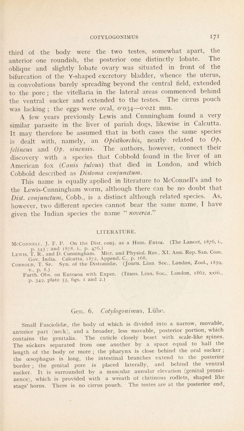 third of the body were the two testes, somewhat apart, the anterior one roundish, the posterior one distinctly lobate. The oblique and slightly lobate ovary was situated in front of the bifurcation of the Y-shaped excretory bladder, whence the uterus, in convolutions barely spreading beyond the central field, extended to the pore ; the vitellaria in the lateral areas commenced behind the ventral sucker and extended to the testes. The cirrus pouch was lacking ; the eggs were oval, 0-034—o-02i mm. A few years previously Lewis and Cunningham found a very similar parasite in the liver of pariah dogs, likewise in Calcutta. It may therefore be assumed that in both cases the same species is dealt with, namely, an Opisthorchis, nearly related to Op, felineus and Op. sinensis. The authors, however, connect their discovery with a species that Cobbold found in the liver of an American fox [Cnnis fulvus) that died in London, and which Cobbold described as Distonia conjuncium. This name is equally applied in literature to McConnell’s and to the Lewis-Cunningham worm, although there can be no doubt that Dist. conjunchim, Cobb., is a distinct although related species. As, however, two different species cannot bear the same name, I have given the Indian species the name “ noverca.'' LITERATURE. McConnell, ]. F. P. On. the Dist. conj. as a Hum. Entoz. (The Lancet, 1876, i., p. 343'; and 1878, i., p. 476-) ^ _ Lewis, T. R., and D. Cunningham. Micr. and Physiol. Res., XI. Ann. Rep. San. Com. Gov. India. Calcutta, 1872, Append. C., p. 168. Cobbold, T. Sp. Syn. of the Distomidae. (Journ. Linn. Soc., London, ZooL, 1859, V., p. 8.) Furth. Obs. on Entozoa with Exper. p. 349, plate 33, figs. I and 2.) (Trans. I.inn. Soc., London, 1862, xxiii., Gen. 6. Cotylogoninms, Liilie. Small Fasciolidae, the body of which is divided into a narrow, movable, anterior part (neck), and a broader, less movable, posterior portion, which contains the genitalia. The cuticle closely beset with scale-like spines. The Slickers separated from one another by a space equal to half the length of the body or more ; the pharynx is close behind the oral sucker ; the oesophagus is long, the intestinal branches extend to the posterior border ; the genital pore is placed laterally, and behind the ventral sucker. It is surrounded by a muscular annular elevation (genital promi- nence), which is provided with a wreath of chitinous rodlets, shaped like stags’ horns. There is no cirrus pouch. The testes are at the posterior end.