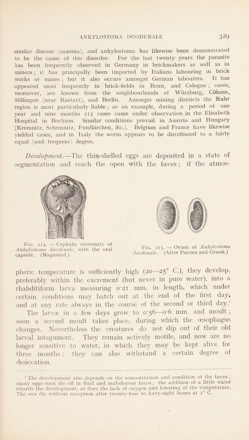 similar disease (anaemia), and ankylostoma has likewise been demonstrated to be the cause of this disorder. For the last twenty years the parasite has been frequently observed in Germany in brickmakers as well as in miners ; it has principally been imported by Italians labouring in brick works or mines ; but it also occurs amongst German labourers. It has appeared most frequently in brick-fields in Bonn, and Cologne ; cases, moreover, are known from the neighbourhoods of Würzburg, Cöhsen, Söllingen (near Rastatt), and Berlin. Amongst mining districts the Ruhr region is most particularly liable ; as an example, during a period of one year and nine months 215 cases came under observation in the Elisabeth Hospital in Bochum. Similar conditions prevail in Austria and Hungary (Kremnitz, Schemnitz, Funfkirchen, &c.). Belgium and France have likewise yielded cases, and in Italy the worm appears to be distributed to a fairly equal (and frequent) degree. Development.—The thin-shelled eggs are deposited in a state of segmentation and reach the open with the fseces ; if the atmos- Fig. 214. —• Cephalic extremity of Ankylostoma duodenale, with the oral capsule. (Magnihed.) pheric temperature is sufficiently high (20—25° C.), they develop, preferably within the excrement (but never in pure water), into a rhabditiform larva measuring o'2i mm. in length, which under certain conditions may hatch out at the end of the first day, and at any rate always in the course of the second or third day.^ The larvae in a few days grow to 0'56—offi mm. and moult ; soon a second moult takes place, during which the oesophagus changes. Nevertheless the creatures do not slip out of their old larval integument. They remain actively motile, and now are no longer sensitive to water, in which they may be kept alive for three months ; they can also withstand a certain degree of desiccation. ‘ The development also depends on the concentration and condition of the faeces ; many eggs soon die off in fluid and malodorous faeces ; the addition of a little water retards the development, as does the .lack of oxygen and lowering of the tejnperature. The ova die without exception after twenty-four to forty-eight hours at 1° C. Fig. 215. —Ovum of Ankylostoma duodenale. (After Parona and Grassi.)