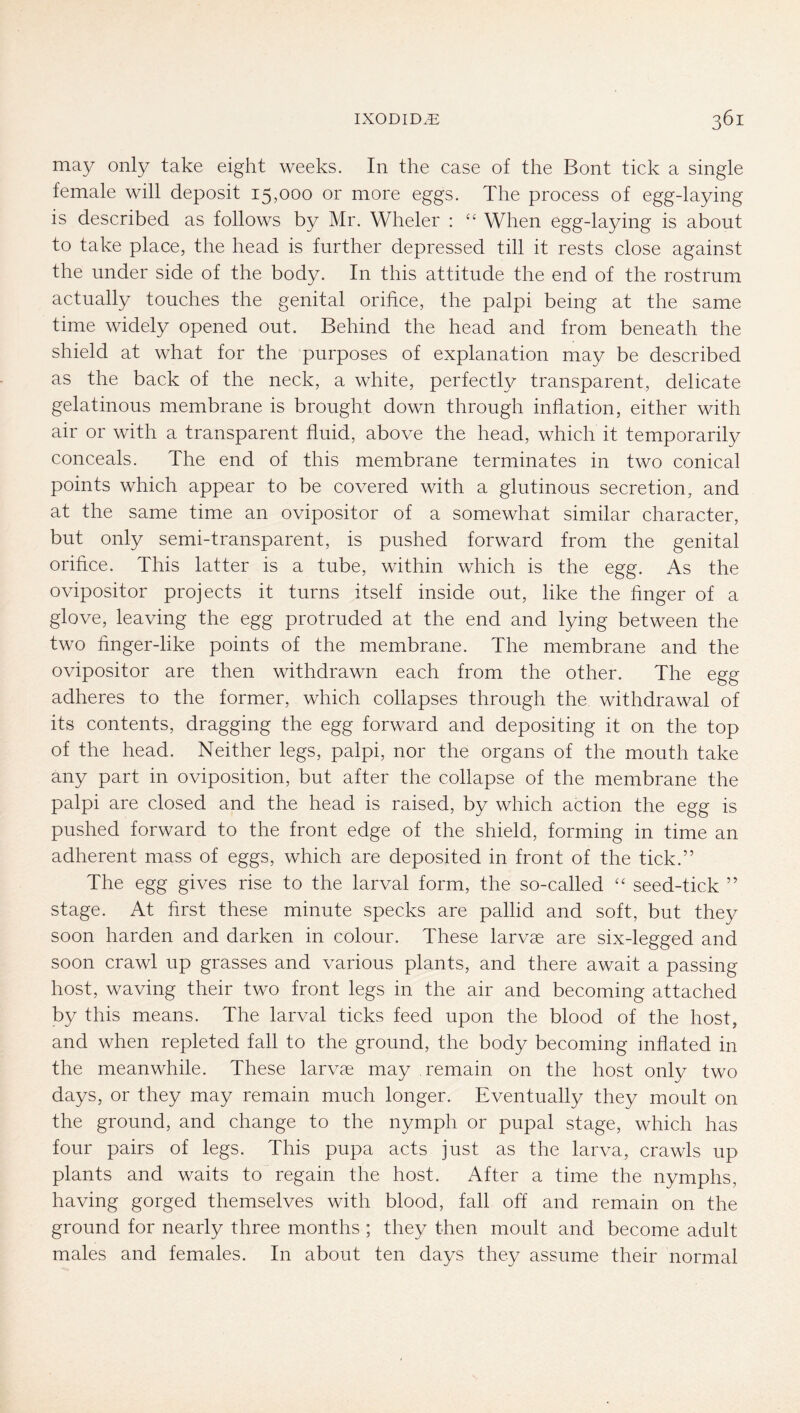 may only take eight weeks. In the case of the Bont tick a single female will deposit 15,000 or more eggs. The process of egg-laying is described as follows by Mr. Wheler : When egg-laying is about to take place, the head is further depressed till it rests close against the under side of the body. In this attitude the end of the rostrum actually touches the genital orifice, the palpi being at the same time widely opened out. Behind the head and from beneath the shield at what for the purposes of explanation may be described as the back of the neck, a white, perfectly transparent, delicate gelatinous membrane is brought down through inflation, either with air or with a transparent fluid, above the head, which it temporarily conceals. The end of this membrane terminates in two conical points which appear to be covered with a glutinous secretion, and at the same time an ovipositor of a somewhat similar character, but only semi-transparent, is pushed forward from the genital orifice. This latter is a tube, within which is the egg. As the ovipositor projects it turns itself inside out, like the finger of a glove, leaving the egg protruded at the end and lying between the two finger-like points of the membrane. The membrane and the ovipositor are then withdrawn each from the other. The egg adheres to the former, which collapses through the withdrawal of its contents, dragging the egg forward and depositing it on the top of the head. Neither legs, palpi, nor the organs of the mouth take any part in oviposition, but after the collapse of the membrane the palpi are closed and the head is raised, by which action the egg is pushed forward to the front edge of the shield, forming in time an adherent mass of eggs, which are deposited in front of the tick.” The egg gives rise to the larval form, the so-called “ seed-tick ” stage. At first these minute specks are pallid and soft, but they soon harden and darken in colour. These larvae are six-legged and soon crawl up grasses and various plants, and there await a passing host, waving their two front legs in the air and becoming attached by this means. The larval ticks feed upon the blood of the host, and when repleted fall to the ground, the body becoming inflated in the meanwhile. These larvae may remain on the host only two days, or they may remain much longer. Eventually they moult on the ground, and change to the nymph or pupal stage, which has four pairs of legs. This pupa acts just as the larva, crawls up plants and waits to regain the host. After a time the nymphs, having gorged themselves with blood, fall off and remain on the ground for nearly three months ; they then moult and become adult males and females. In about ten days they assume their normal