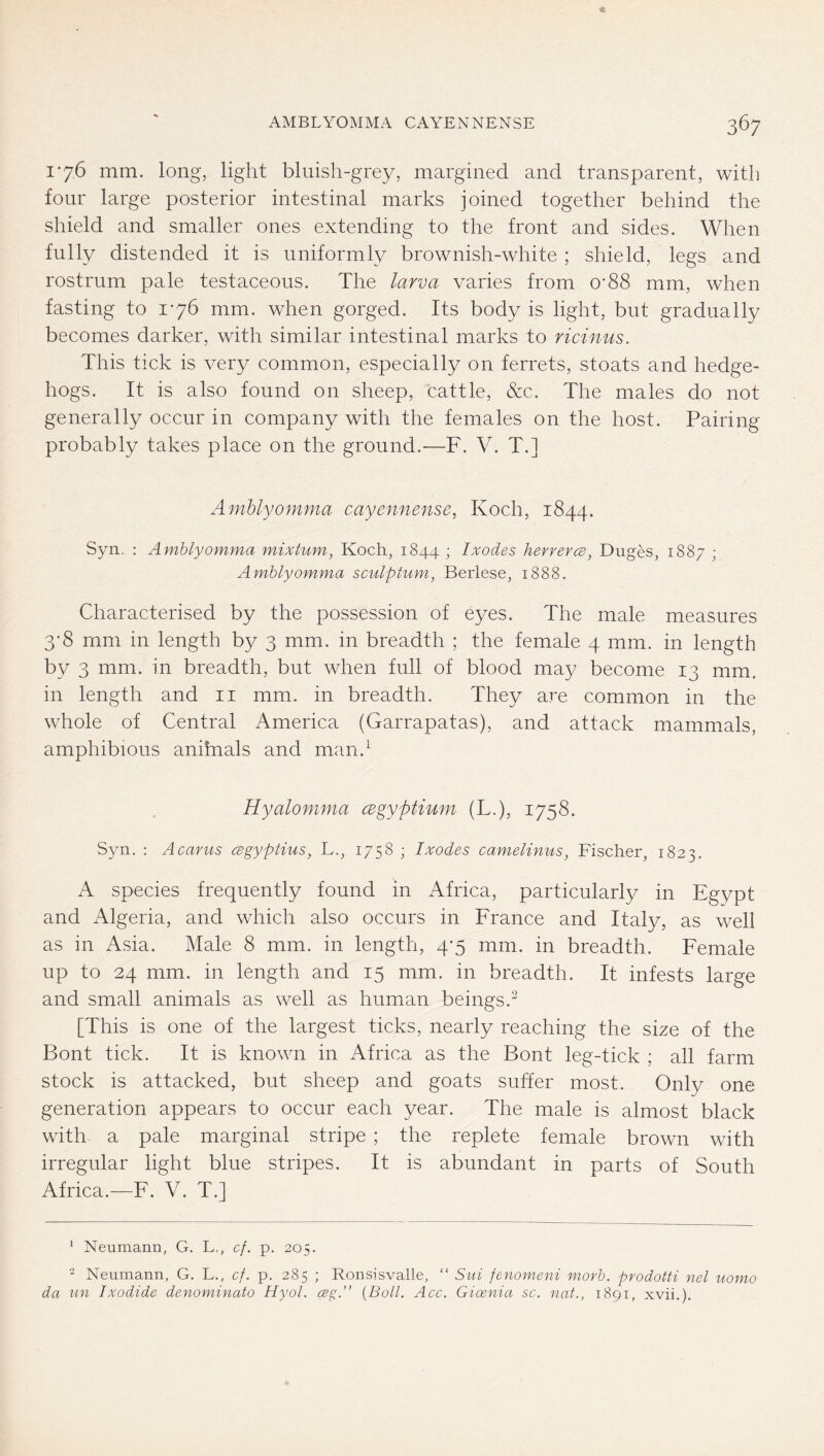 176 mm. long, light bluish-grey, margined and transparent, with four large posterior intestinal marks joined together behind the shield and smaller ones extending to the front and sides. When fully distended it is uniformly brownish-white ; shield, legs and rostrum pale testaceous. The larva varies from 0'88 mm, when fasting to 176 mm. when gorged. Its body is light, but gradually becomes darker, with similar intestinal marks to ricinus. This tick is very common, especially on ferrets, stoats and hedge- hogs. It is also found on sheep, cattle, &c. The males do not generally occur in company with the females on the host. Pairing probably takes place on the ground.—F. V. T.] Amhlyomma cayennense, Koch, 1844. Syn. : Amhlyomma mixtum, Koch, 1844 ; Ixodes herrercB, Duges, 1887 ; Amhlyomma sculptum, Berlese, 1888. Characterised by the possession of eyes. The male measures 3'8 rnni in length by 3 mm. in breadth ; the female 4 mm. in length by 3 mm. in breadth, but when full of blood may become 13 mm. in length and ii mm. in breadth. They are common in the whole of Central America (Garrapatas), and attack mammals, amphibious animals and man.^ Hyalomma cegyptium (L.), 1758. Syn, : Acariis cegyptius, L., 1758 ; Ixodes camelinvis, Fischer, 1823. A species frequently found in xAfrica, particularly in Egypt and Algeria, and which also occurs in France and Italy, as well as in Asia. Male 8 mm. in length, 4*5 mm. in breadth. Female up to 24 mm. in length and 15 mm. in breadth. It infests large and small animals as well as human beings.^ [This is one of the largest ticks, nearly reaching the size of the Font tick. It is known in Africa as the Font leg-tick ; all farm stock is attacked, but sheep and goats suffer most. Only one generation appears to occur each year. The male is almost black with a pale marginal stripe ; the replete female brown with irregular light blue stripes. It is abundant in parts of South Africa.—F. V. T.] * Neumann, G. L., cf. p. 205. “ Neumann, G. L., cf. p. 285 ; Ronsisvalle, “ Sui fenomeni morh. prodotti nel uomo da un Ixodide denominato Hyol. ceg.” {Boll. Acc. Gioenia sc. nat., 1891, xvii.).