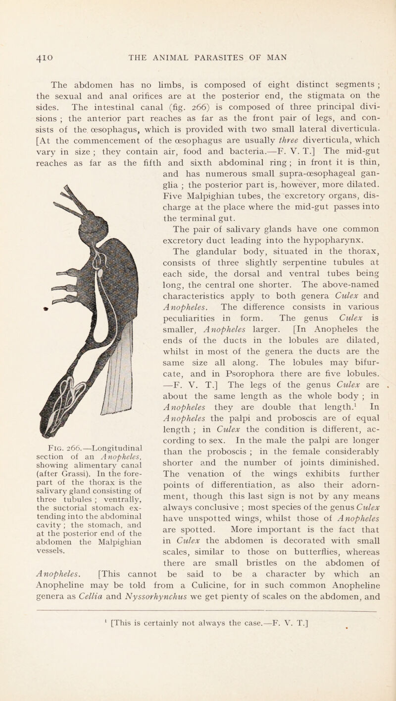 The abdomen has no limbs, is composed of eight distinct segments ; the sexual and anal orifices are at the posterior end, the stigmata on the sides. The intestinal canal (fig. 266) is composed of three principal divi- sions ; the anterior part reaches as far as the front pair of legs, and con- sists of the, oesophagus, which is provided with two small lateral diverticula. [At the commencement of the oesophagus are usually three diverticula, which vary in size ; they contain air, food and bacteria.—F. V. T.] The mid-gut reaches as far as the fifth and sixth abdominal ring; in front it is thin, and has numerous small supra-oesophageal gan- glia ; the posterior part is, however, more dilated. Five Malpighian tubes, the excretory organs, dis- charge at the place where the mid-gut passes into the terminal gut. The pair of salivary glands have one common excretory duct leading into the hypopharynx. The glandular body, situated in the thorax, consists of three slightly serpentine tubules at each side, the dorsal and ventral tubes being long, the central one shorter. The above-named characteristics apply to both genera Culex and Anopheles. The difference consists in various peculiarities in form. The genus Culex is smaller, Anopheles larger. [In Anopheles the ends of the ducts in the lobules are dilated, whilst in most of the genera the ducts are the same size all along. The lobules may bifur- cate, and in Psorophora there are five lobules. —F. V. T.] The legs of the genus Culex are about the same length as the whole body ; in Anopheles they are double that length.^ In Anopheles the palpi and proboscis are of equal length ; in Culex the condition is different, ac- cording to sex. In the male the palpi are longer than the proboscis ; in the female considerably shorter and the number of joints diminished. The venation of the wings exhibits further points of differentiation, as also their adorn- ment, though this last sign is not by any means always conclusive ; most species of the genus Culex have unspotted wings, whilst those of Anopheles are spotted. More important is the fact that in Culex the abdomen is decorated with small scales, similar to those on butterflies, whereas there are small bristles on the abdomen of Anopheles. [This cannot be said to be a character by which an Anopheline may be told from a Culicine, for in such common Anopheline genera as Cellia and Nyssorhynchus we get plenty of scales on the abdomen, and Fig. 266.—Longitudinal section of an Anopheles, showing alimentary canal (after Grassi). In the fore- part of the thorax is the salivary gland consisting of three tubules ; ventrally, the suctorial stomach ex- tending into the abdominal cavity ; the stomach, and at the posterior end of the abdomen the Malpighian vessels. ‘ [This is certainly not always the case.—F. V. T.]
