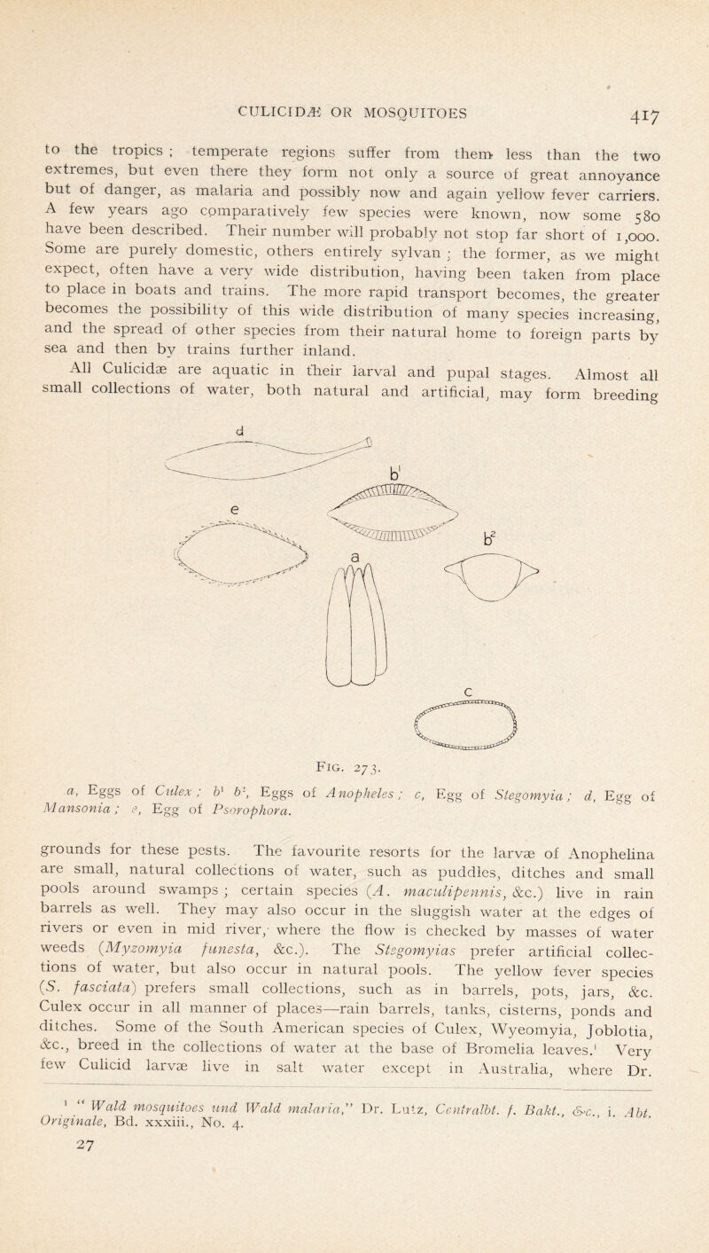i-V 417 to the tropics ; temperate regions suffer from them less than the two extremes, but even there they form not only a source of great annoyance but of clanger, as malaiia and possibly now and again yellow fever carriers. A few years ago comparatively few species were known, now some 580 have been described. Their number will probably not stop far short of 1,000. Some are purely domestic, others entirely sylvan ,• the former, as we might expect, often have a very wide distribution, having been taken from place to place in boats and trains. The more rapid transport becomes, the greater becomes the possibility of this wide distribution of many species increasing, and the spread of other species from their natural home to foreign parts by sea and then by trains further inland. All Culicidae are aquatic in fheir larval and pupal stages. Almost all small collections of water, both natural and artificial, may form breeding d Fig. 273. a, Eggs of Culex: b'. Eggs of Anopheles; c. Egg of Stegomyia; d, Egg of Mansonia; e, Egg of Psorophora. grounds for these pests. The favourite resorts for the larvae of Anophelina are small, natural collections of water, such as puddles, ditches and small pools around swamps; certain species (M. maculipennis, 8cc.) live in rain barrels as well. They may also occur in the sluggish water at the edges of rivers or even in mid river,- where the flow is checked by masses of water weeds {Myzomyia funesta, &c.). The Stsgomyias prefer artificial collec- tions of water, but also occur in natural pools. The yellow fever species (5. fasciata) prefers small collections, such as in barrels, pots, jars, &c. Culex occur in all manner of places—rain barrels, tanks, cisterns, ponds and ditches. Some of the South American species of Culex, Wyeomyia, Joblotia &c., breed in the collections of water at the base of Bromelia leaves.' Very few Culicid larvae live in salt water except in Australia, where Dr. ' Wald mosquitoes und Wald malavia, Dr. Lutz, Centralbt. /. Baht., Cyc., i. Abt Originale, Bd. xxxiii., No. 4. 27