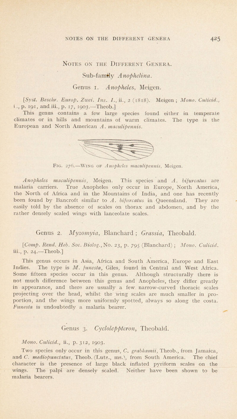 Notes on the Different Genera. Sub-famfly A nophelina. Genus i. Anopheles, Meigen. [53^5^. Beschr. Europ. Zwei. Ins. I., 2 (1818). Meigen; Mono. Culicid., i., p. 191, andiii., p. 17, 1903.—-Theob.] This genus contains a few large species found eitlien in temperate climates or in hills and mountains of warm climates. The type is the European and North American A. macidipennis. Fig. 276.—Wing of Anopheles maoulipennis, Meigen. Anopheles macidipennis, Meigen. This species and A. hifiircatus are malaria carriers. True Anopheles only occur in Europe, North America, the North of Africa and in the Mountains of India, and one has recently been found by Bancroft similar to A. hifiircatus in Queensland. They are easily told by the absence of scales on thorax and abdomen, and by the rather densely scaled wings with lanceolate scales. Genus 2. Myzomyia, Blanchard ; Grassia, Theobald. [Comp. Rend. Heb. Soc. Biolog., Ho. 23, p. 795 (Blanchard) ; Mono. Culicid. iii., p, 24.—Theob.] This genus occurs in Asia, Africa and South America, Europe and East Indies. The type is M. funesta, Giles, found in Central and West Africa. Some fifteen species occur in this genus. Although structurally there is not much difference between this genus and Anopheles, they differ greatly in appearance, and there are usually a few. narrow-curved thoracic scales projecting over the head, whilst the wing scales are much smaller in pro- portion, and the wings more uniformly spotted, always so along the costa. Funesta is undoubtedly a malaria bearer. Genus 3. Cycloleppteron, Theobald, Mono. Culicid., ii., p. 312, 1903. Two species only occur in this genus, C. grahhamii, Theob., from Jamaica, and C. mediopunctatus, Theob. (Lutz., ms.), from South America. The chief character is the presence of large black inflated pyriform scales on the wings. The palpi are densely scaled. Neither have been shown to be malaria bearers.