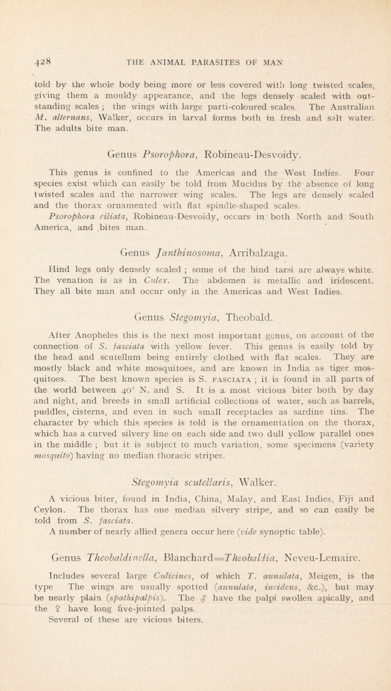 told by the whole body being more or less covered with long twisted scales, giving them a mouldy appearance, and the legs densely scaled with out- standing scales ; the wings with large parti-coloured scales. The Australian M. alternans, Walker, occurs in larval forms both in fresh and salt water. The adults bite man. Genus Psorophora, Robineau-Desvoidy. This genus is confined to the Americas and the West Indies. Four species exist which can easily be told from Mucidus by the absence of long twisted scales and the narrower wing scales. The legs are densely scaled and the thorax ornamented with flat spindle-shaped scales. Psorophora ciliata, Robineau-Desvoidy, occurs in both North and South America, and .bites man. Genus Janthinosoma, Arribalzaga. Hind legs only densely scaled ; some of the hind tarsi are always white. The venation is as in Ciilex. The abdomen is metallic and iridescent. They all bite man and occur only in the Americas and West Indies. Genus Stegomyia, Theobald. After Anopheles this is the next most important genus, on account of the connection of 5. fasciata with yellow fever. This genus is easily told by the head and scutellum being entirely clothed with flat scales. They are mostly black and white mosquitoes, and are known in India as tiger mos- quitoes. The best known species is S. fasciat.v ; it is found in all parts of the world between 40° N. and S. It is a most vicious biter both by day and night, and breeds in small artificial collections of water, such as barrels, puddles, cisterns, and even in such small receptacles as sardine tins. The character by which this species is told is the ornamentation on the thorax, which has a curved silvery line on each side and two dull yellow parallel ones in the middle ; but it is subject to much variation, some specimens (variety mosquito) having no median thoracic stripes. Stegomyia scutellaris, Walker. A vicious biter, found in India, China, Malay, and East Indies, Fiji and Ceylon. The thorax has one median silvery stripe, and so can easily be told from 5. fasciata. A number of nearly allied genera occur here {vide synoptic table). Genus Theohaldinella, Blanchard=rAeo&^?/r/zG, Neveu-Lemaire. Includes several large Cyulicines, of which T. annulata, Meigen, is the type The wings are usually spotted (annulata, incAdens, &c.), but may be nearly plain (spathipalpis). The ^ have the palpi swollen apically, and the $ have long five-jointed palps. Several of these are vicious biters.