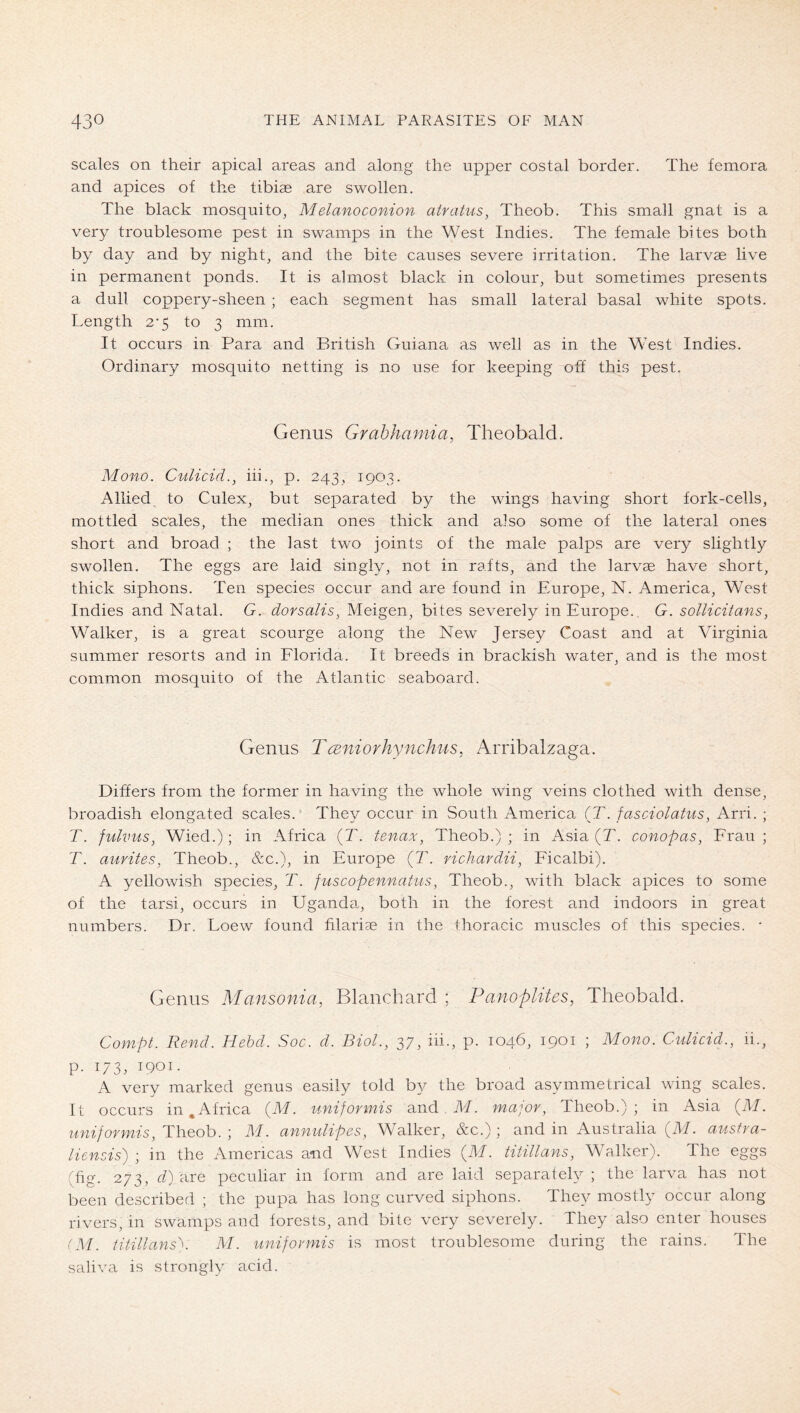 scales on their apical areas and along the upper costal border. The femora and apices of the tibiae are swollen. The black mosquito, Melanoconion atraUis, Theob. This small gnat is a very troublesome pest in swamps in the West Indies. The female bites both by day and by night, and the bite causes severe irritation. The larvae live in permanent ponds. It is almost black in colour, but sometimes presents a dull coppery-sheen ; each segment has small lateral basal white spots. Length 2-5 to 3 mm. It occurs in Para and British Guiana as well as in the West Indies. Ordinary mosquito netting is no use for keeping off this pest. Genus Grahhamia, Theobald. Mono. Culicid., iii., p. 243, 1903. Allied to Culex, but separated by the wings having short fork-cells, mottled scales, the median ones thick and also some of the lateral ones short and broad ; the last two joints of the male palps are very slightly swollen. The eggs are laid singly, not in rafts, and the larvae have short, thick siphons. Ten species occur and are found in Europe, N. America, West Indies and Natal. G. dorsalis, Meigen, bites severely in Europe. G. sollicitans, Walker, is a great scourge along the New Jersey Coast and at Virginia summer resorts and in Elorida. It breeds in brackish water, and is the most common mosquito of the Atlantic seaboard. Genus Tceniorhynchus, Arribalzaga. Differs from the former in having the whole wing veins clothed with dense, broadish elongated scales. They occur in South America (T. fasciolatus, Arri. ; T. fulviis, Wied.) ; in Africa (T. tenax, Theob.) ; in Asia (T. conopas, Erau •, T. anrites, Theob., &c.), in Europe (T. richardii, Eicalbi). A yellowish species, T. fuscopennatits, Theob., with black apices to some of the tarsi, occurs in Uganda, both in the forest and indoors in great numbers. Dr. Loew found filariae in the thoracic muscles of this species. ■ Genus Mansonia, Blanchard ; Panoplites, Theobald. Compt. Rend. Hebd. Soc. d. Biol., 37, iii., p. 1046, 1901 ; Mono. Culicid., ii., p. 173, 1901. A very marked genus easily told by the broad asymmetrical wing scales. It occurs in, Africa {M. uniformis and . M. major, Theob.); in Asia (M. uniformis, Theob. ; M. annulipes. Walker, &c.); and in Australia (M. ausfra- liensis) ; in the Americas and West Indies (M. titillans, Walker). The eggs (fig. 273, d) are peculiar in form and are laid separately ; the larva has not been described ; the pupa has long curved siphons. They mostly occur along rivers, in swamps and forests, and bite very severely. They also enter houses (M. titillans'^. M. uniformis is most troublesome during the rains. The saliva is strongly acid.