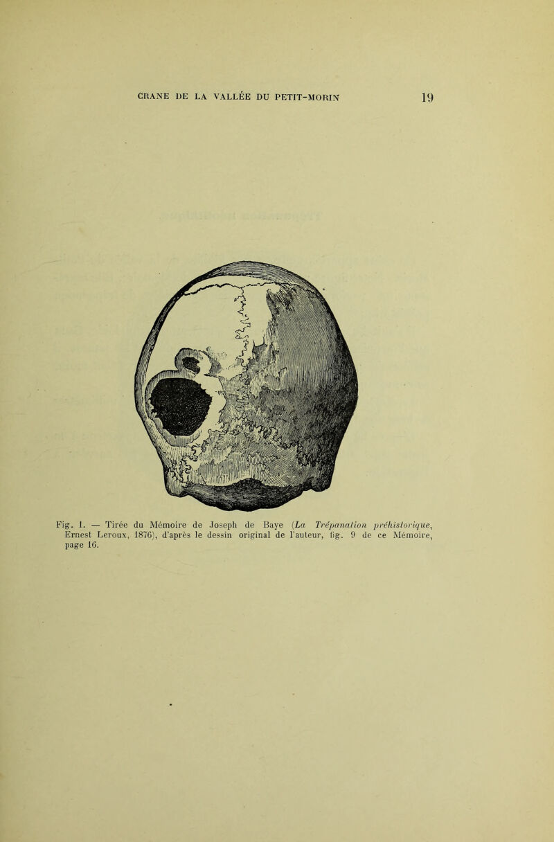 Fig. I. — Tirée du Mémoire de Joseph de Baye (La Trépanation préhistorique^ Ernest Leroux, 1870), d’apres le dessin original de Fauteur, (ig. 9 de ce Mémoire, page 10.