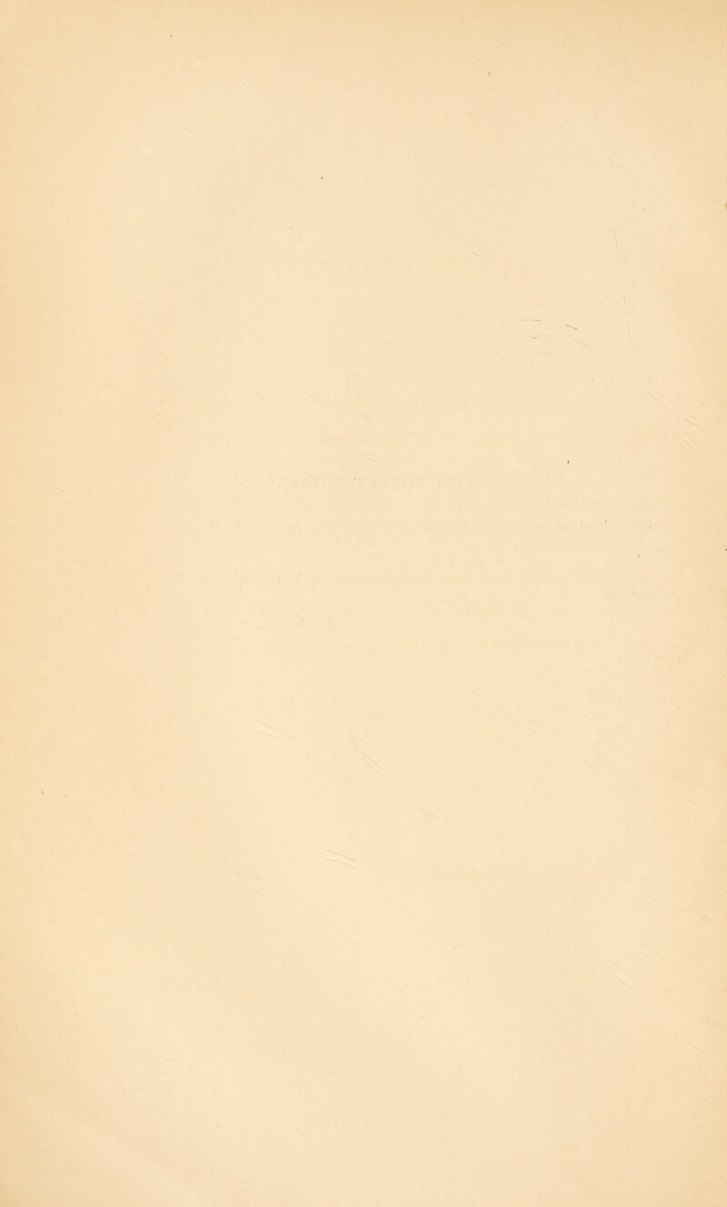'
