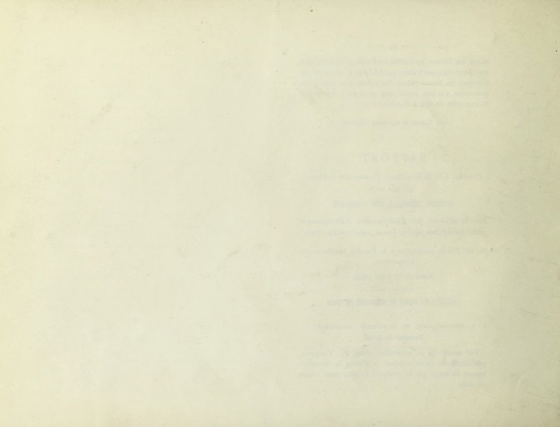 jj^, ,: * .Æ ,^:fU , - _, ■ * -‘> î’ ^ »- ■ r ^ '*ÿp,- -J «•- ,_^ , ^ 'I .. ■ •>' ..3v UK ' ’*.£* >' 't ' - • * ^^-7'' SJfirf,;'jft tl'^>*4iicfc, ''’2* «fir*:.- ' •‘-’4Sr.''*0 - - ^ ■ ^ \ e* i1 • * ' f* !•» if^i L»' ^a_ «V r ♦ ■'ihl W*>t'» *ia»lr*'iAr/ii . > ^ ^ Ljé^'4} ' ‘1.' -'■ ♦ V' Æ - 1 .-viVi# l'.J --iu:- „ J^'- ^ ■: fSj ^ • ' ^ V.*r '•'rf ■b ■ .‘' n'i-z. ■■•■■ - l'r-'vTjav,, ‘^w «. ^ M- '.fX-'-'’*^}, ■ 'i.' ■ . *■ ’é ' f A - ¥ ' ■} tJ^M ’»< •'''Sf. '■- --i V^v <'’««■  ‘ J ff, ■ ,?-■’•; sp - • T, '■î] ,-j'. v: y >' ■■%-i,r ' Tito-' \ i ;- -Vt; -•' ^ pÎI ^ • «Mb. OJi « ' ■*^ T » fli •!i<-^- ^ ■»'i ^ .-■ . 1’ f *- ^xJk. Z. ./Vv I * •««, ■.