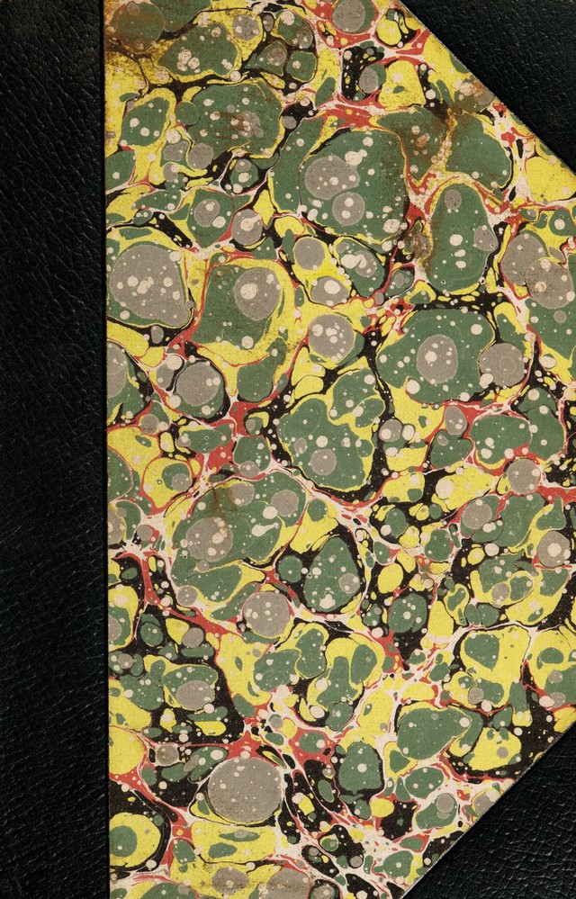 No text description is available for this image