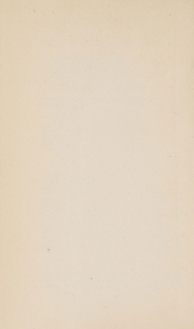 a 4 oa hee Prat * 4 * 2 a Oe > ‘ ; ‘ _ 4 4 4 rp a as 4 ia] a wt Mier, ail Cs Ped ite 24, 1 ony a Saks \ oe Ny eed Caley * fo Apt ry iat hae Hoy ee Ont ale 5 mart ee AL ws A 5 @ a ¢ cau Ci af 2) eR fi ihe aes. ariel - eapeth e Be y ayy CT Oi ae Ab Sy yey he ee aa Soe ae 4% oe Fe yg hive eae: 4, 7 “t De eetbis a ri) ee fea ia coe er hay 7 ie ¥ Ve anit | heal Pe Parry af. 78h te 2am Ag ; > e mS > I. va is ity » Rene ‘Sarthe By i Asa! j ; re MS ay am “Bae ee at bis L a te | iy hes rat i Dea dis ia. iad ae ee ely ea ia th Paae aes - bea ; Rake 25 a fs oy ne ee, ’ rAd ae 5 alee ope abe ‘ ; te ers! A oe ry pass vi 14 . ° . uM * Ow he * ¥ » - 7 ‘ aa i a ear ae a 5 ¥y f id | 4! i) r @ + « \ i ‘ ; bs i « | Ps j ad « ewe Ay ; Lies i. 4 eo io a WF ea ‘= U a 7 , Al ot ae ~. La i j » Ah Pel is Lo as i“ , a as Bay 1s &amp; £Avei com ae Os, rae ; a , A a iM - : - . * a rib Ma dS i Fo Ons Aas > a ee 7 ° 7 4 A * Vane 4 ‘ Df eee eee a Sieg ~ * , 4 wir 4 a eis \ pas i +) 7 ;  i, 7 i i . iro ’ eae ve o it. j ® : yah : - aoe SA aL i ts at og TU: tae ee Baas y ery Lat a ee “Ars es iy oe is by 7 aS) eee ; a a a . we in rae w , 4 ay? . = - : ' ve ¥ ‘i 7 —- oo a Dat ae a an ves tty a ote need 2 ae Oe ih \ % i - ' 2 * a wv eee ed ie ma 4 aR CAs ne Eat - » “1 ct Ue ne P | i ‘ey ; t i ry) } i ( « ee rd ert av picts e Bat > mT iy yn A Ae my . lhe Are. i * A =. 4 g - - Peet a f in Be if Teey = he ae Pas xa ii ee ap, © ‘Ra ~Y v BAS: _ i 7 ~— 7 | r  s) »% aA - eles yt a bate v> ‘a ee he ais = bw re f i, eae ¢ > an . . sy = ex : Jy eee hah SOB e Leer ie Lae 4) hae . 7 cies hy ‘ ; ran 5 ’ Y i sn en) a fer Pat Aisa 4 Wwe a : : ae > 2 7 - . ee ; , ft 0 Pray se tie ; eerie BS ; eo es ote nat lahat © Prisca Pete ae . At F od cx : UT te hy Pe * Raa! a th a oe iat A ae: i i, ; > ey Cine ian Gg a ‘ al Lo 4 ba ‘ ‘a ta eek: ied i ; 7 Peas LE EAL canis LOE Ars Dees « Pe : 1 j  ‘ A? P : ha it : r . i Ae . : : al ; a A. 6 4 rid ie, , * : / TF as | ar a ; : i 5 ey ed AU ox o a \ : i ay q x f r. ha * nak n 7 > i ~ aa was 7 ‘ cs) a 7 Sages J ae Cr pea: A 3. > j 7 By eh Ay) An ? i rr Lae 7 oe PES Ml ie y a A? a Sa : Vee Fru: a Dyed a At ae nr eae oe ‘di s or ean : ad a Wie ie TOR hia Tice é areas 7 wir ins = ee: peu Eve rs REL ph Res Glee A ie c9 ‘ . es hy Py 14 vs =) ‘ 2 i, we Oe SC cae y ae ss 2 i ‘ * ‘ \ 01 oe P| vs a% tor a ra a4 on | ye > | Tae re) 4 itis Ae ' { ; i ia me 4 = uy s | ae are) ie we eee) PCC a te aes a dae PA ocr veg an ite | a anaeinae een ia.. | » te Die NL aes