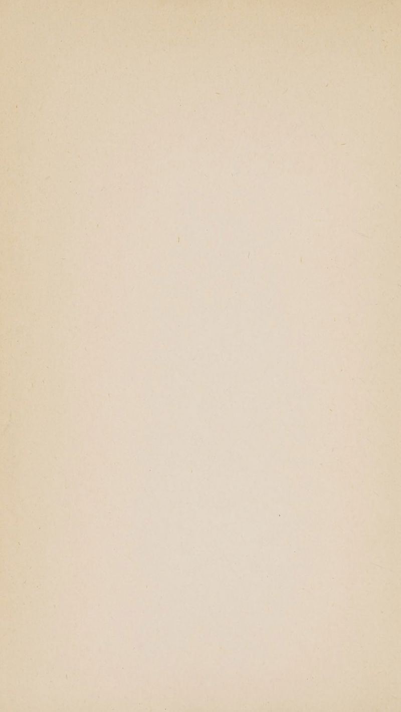 - : - 4 i at Pet _ = ~_ ee