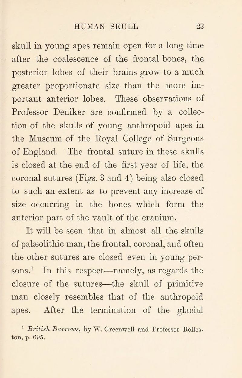skull in young apes remain open for a long time after the coalescence of the frontal bones, the posterior lobes of their brains grow to a much greater proportionate size than the more im- portant anterior lobes. These observations of Professor Deniker are confirmed by a collec- tion of the skulls of young anthropoid apes in the Museum of the Eoyal College of Surgeons of England. The frontal suture in these skulls is closed at the end of the first year of life, the coronal sutures (Figs. 3 and 4) being also closed to such an extent as to prevent any increase of size occurring in the bones which form the anterior part of the vault of the cranium. It will be seen that in almost all the skulls of palaeolithic man, the frontal, coronal, and often the other sutures are closed even in young per- sons.^ In this respect—namely, as regards the closure of the sutures—the skull of primitive man closely resembles that of the anthropoid apes. After the termination of the glacial ^ British Barrows, by W. Greenwell and Professor Kolles- ton, p. 695.