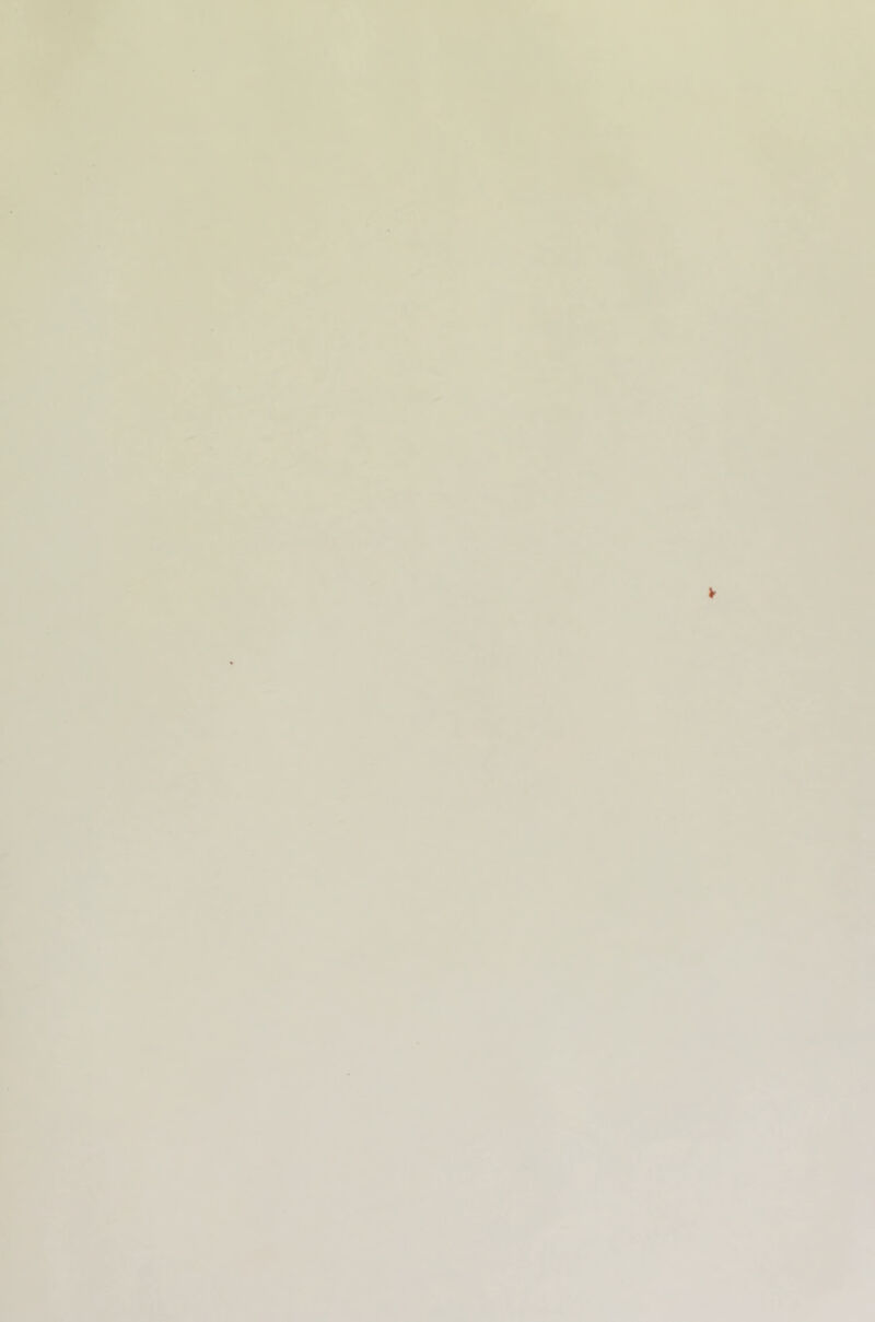 ■ ■í •(iV ti * ✓ \ • í ■■ mí : ..iP V .V, (N . t 4 I # >¡,.A I I, i# í