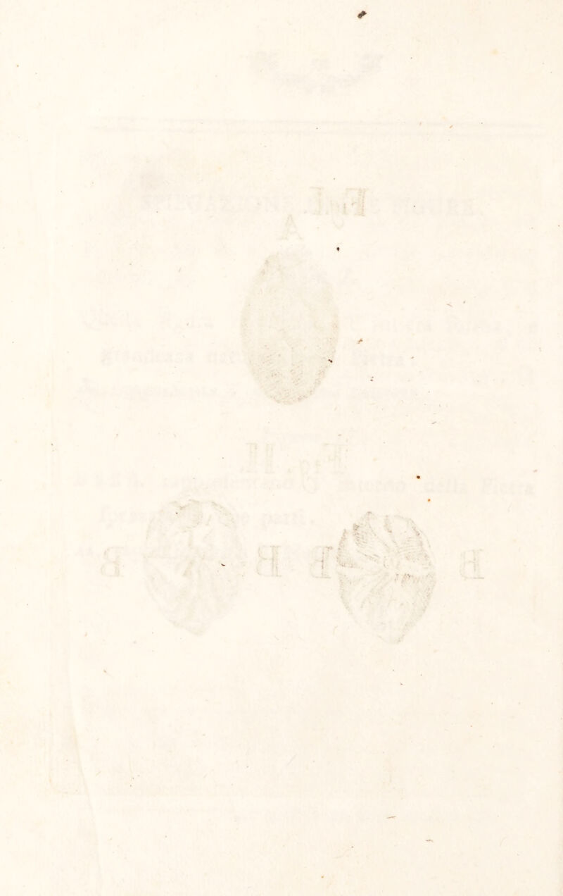 é- » A i il ■ 4 A ' ^ .li J 1 i 1 i