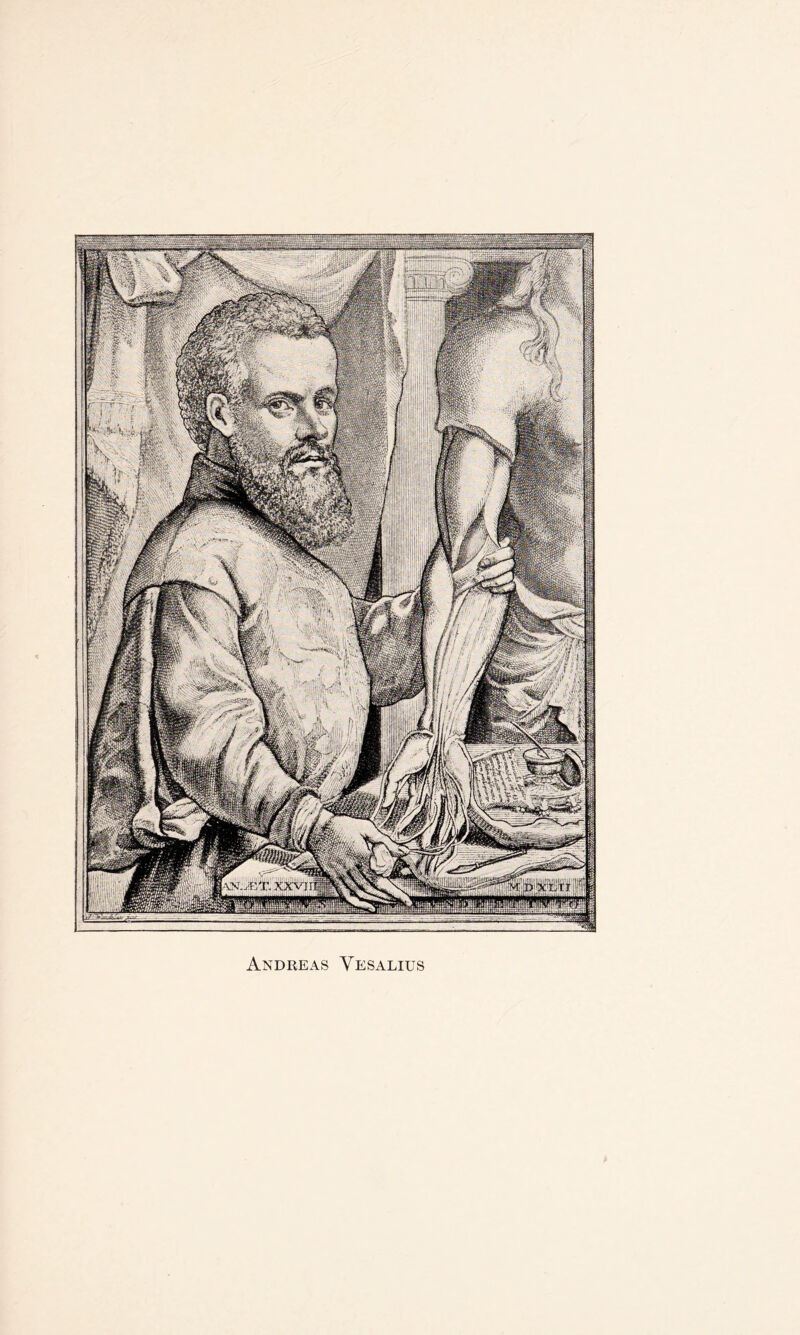 Andreas Vesalius
