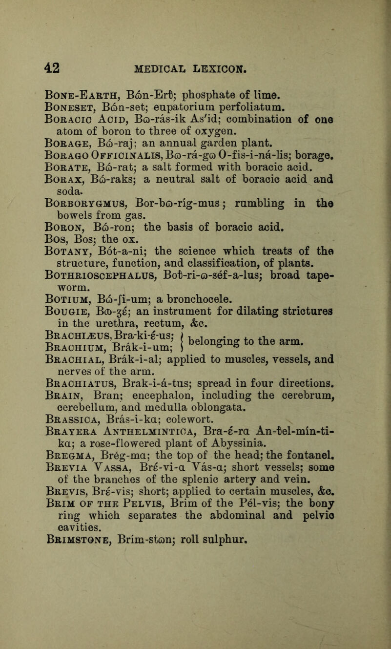 Bone-Earth, B6n-Ert; phosphate of lime. Boneset, Boa-set; eupatorium perfoliatum. Boracio Acid, Bo-ras-ik As'id; combination of one atom of boron to three of oxygen. Borage, B6-raj: an annual garden plant. Borago Officinalis, Bo-ra-go 0-fis-i-na-lis; borage. Borate, B6-rat; a salt formed with boracic acid. Borax, B6-raks; a neutral salt of boracic acid and soda. Borborygmus, Bor-bo-rig-mus j rumbling in the bowels from gas. Boron, B6-ron; the basis of boracic acid. Bos, Bos; the ox. Botany, B6t-a-ni; the science which treats of the structure, function, and classification, of plants. Bothriosoephalus, Bot-ri-o-sef-a-lus; broad tape- worm. Botium, B6-Ji-um; a bronchocele. Bougie, Boo-ge; an instrument for dilating strictures in the urethra, rectum, &c. I ««• Brachial, Brak-i-al; applied to muscles, vessels, and nerves of the arm. Brachiatus, Brak-i-a-tus; spread in four directions. Brain, Bran; encephalon, including the cerebrum, cerebellum, and medulla oblongata. Brassica, Bras-i-ka; cole wort. Brayera Anthelmintica, Bra-e-ru An-tel-min-ti- ka; a rose-flowered plant of Abyssinia. Bregma, Breg-ma; the top of the head; the fontanel. Brevia Vassa, Bre-vi-a Vas-a; short vessels; some of the branches of the splenic artery and vein. Brevis, Bre-vis; short; applied to certain muscles, &c. Brim of the Pelvis, Brim of the Pel-vis; the bony ring which separates the abdominal and pelvio cavities. Brimstone, Brim-ston; roll sulphur.