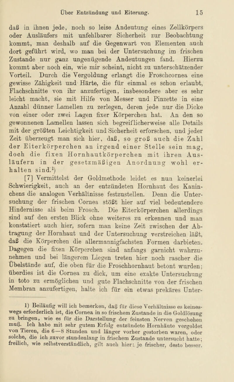 daß in ihnen jede, noch so leise Andeutung eines Zellkörpers oder Ausläufers mit unfehlbarer Sicherheit zur Beobachtung kommt, man deshalb auf die Gegenwart von Elementen auch dort geführt wird, wo man bei der Untersuchung im frischen Zustande nur ganz ungenügende Andeutungen fand. Hierzu kommt aber noch ein, wie mir scheint, nicht zu unterschätzender Vorteil. Durch die Vergoldung erlangt die Froschcornea eine gewisse Zähigkeit und Härte, die für einmal es schon erlaubt, Flachschnitte von ihr anzufertigen, insbesondere aber es sehr leicht macht, sie mit Hilfe von Messer und Pinzette in eine Anzahl dünner Lamellen zu zerlegen, deren jede nur die Dicke von einer oder zwei Lagen fixer Körperchen hat. An den so gewonnenen Lamellen lassen sich begreiflicherweise alle Details mit der größten Leichtigkeit und Sicherheit erforschen, und jeder Zeit überzeugt man sich hier, daß, so groß auch die Zahl der Eiterkörperchen an irgend einer Stelle sein mag, doch die fixen Hornhautkörperchen mit ihren Aus- läufern in der gesetzmäßigen Anordnung wohl er- halten sind.^) [7] Vermittelst der Goldmethode leidet es nun keinerlei Schwierigkeit, auch an der entzündeten Hornhaut des Kanin- chens die analogen Verhältnisse festzustellen. Denn die Unter- suchung der frischen Cornea stößt hier auf viel bedeutendere Hindernisse als beim Frosch. Die Eiterkörperchen allerdings sind auf den ersten Blick ohne weiteres zu erkennen und man konstatiert auch hier, sofern man keine Zeit zwischen der Ab- tragung der Hornhaut und der Untersuchung verstreichen läßt, daß die Körperchen die allermannigfachsten Formen darbieten. Dagegen die fixen Körperchen sind anfangs garnicht wahrzu- nehmen und bei längerem Liegen treten hier noch rascher die Übelstände auf, die oben für die Froschhornhaut betont wurden; überdies ist die Cornea zu dick, um eine exakte Untersuchung in toto zu ermöglichen und gute Flachschnitte von der frischen Membran anzufertigen, halte ich für ein etwas prekäres Unter- 1) Beiläufig will ich bemerken, daß für diese \erhältnisso es keines- wegs erforderlich ist, die Cornea in so frischem Zustande in die Goldlösung zu bringen, wie es für die Darstellung der feinsten Nerven geschehen muß. Ich habe mit sehr gutem Erfolg entzündete Hornhäute vergoldet von Tieren, die 6—8 Stunden und länger vorher gestorben waren, oder solche, die ich zuvor stundenlang in frischem Zustande untersucht hatte; freilich, wie selbstverständlich, gilt auch hier:, je frischer, desto besser.