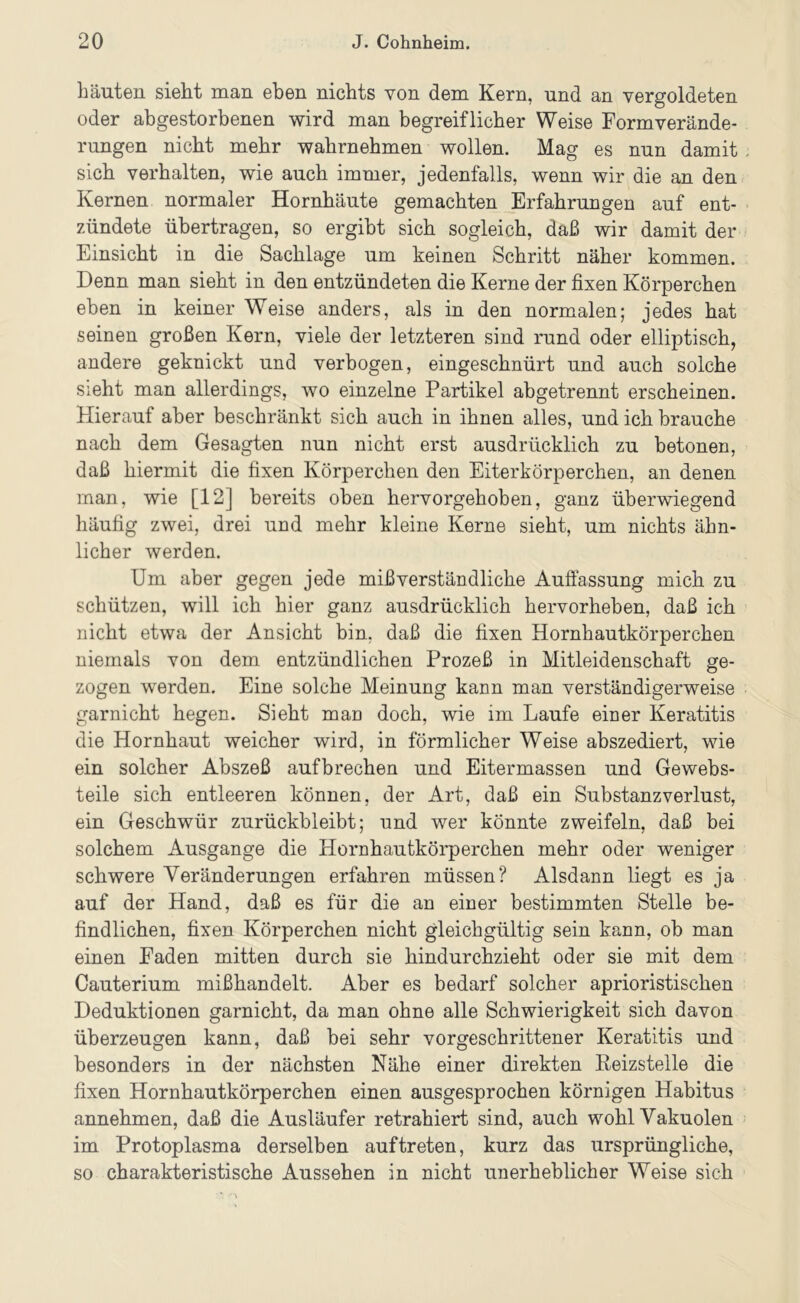 häuten sieht man eben nichts von dem Kern, und an vergoldeten oder abgestorbenen wird man begreiflicher Weise Formverände- rungen nicht mehr wahrnehmen wollen. Mag es nun damit sich verhalten, wie auch immer, jedenfalls, wenn wir die an den Kernen normaler Hornhäute gemachten Erfahrungen auf ent- zündete übertragen, so ergibt sich sogleich, daß wir damit der Einsicht in die Sachlage um keinen Schritt näher kommen. Denn man sieht in den entzündeten die Kerne der fixen Körperchen eben in keiner Weise anders, als in den normalen; jedes hat seinen großen Kern, viele der letzteren sind rund oder elliptisch, andere geknickt und verbogen, eingeschnürt und auch solche sieht man allerdings, wo einzelne Partikel abgetrennt erscheinen. Hierauf aber beschränkt sich auch in ihnen alles, und ich brauche nach dem Gesagten nun nicht erst ausdrücklich zu betonen, daß hiermit die fixen Körperchen den Eiterkörperchen, an denen man, wie [12] bereits oben hervorgehoben, ganz überwiegend häufig zwei, drei und mehr kleine Kerne sieht, um nichts ähn- licher werden. Um aber gegen jede mißverständliche Auflassung mich zu schützen, will ich hier ganz ausdrücklich hervorheben, daß ich nicht etwa der Ansicht bin, daß die fixen Hornhautkörperchen niemals von dem entzündlichen Prozeß in Mitleidenschaft ge- zogen werden. Eine solche Meinung kann man verständigerweise garnicht hegen. Sieht man doch, wie im Laufe einer Keratitis die Hornhaut weicher wird, in förmlicher Weise abszediert, wie ein solcher Abszeß aufbrechen und Eitermassen und Gewebs- teile sich entleeren können, der Art, daß ein Substanz Verlust, ein Geschwür zurückbleibt; und wer könnte zweifeln, daß bei solchem Ausgange die Hornhautkörperchen mehr oder weniger schwere Veränderungen erfahren müssen? Alsdann liegt es ja auf der Hand, daß es für die an einer bestimmten Stelle be- findlichen, fixen Körperchen nicht gleichgültig sein kann, ob man einen Faden mitten durch sie hindurchzieht oder sie mit dem Cauterium mißhandelt. Aber es bedarf solcher aprioristischen Deduktionen garnicht, da man ohne alle Schwierigkeit sich davon überzeugen kann, daß bei sehr vorgeschrittener Keratitis und besonders in der nächsten Nähe einer direkten Keizstelle die fixen Hornhautkörperchen einen ausgesprochen körnigen Habitus annehmen, daß die Ausläufer retrahiert sind, auch wohl Vakuolen im Protoplasma derselben auftreten, kurz das ursprüngliche, so charakteristische Aussehen in nicht unerheblicher Weise sich