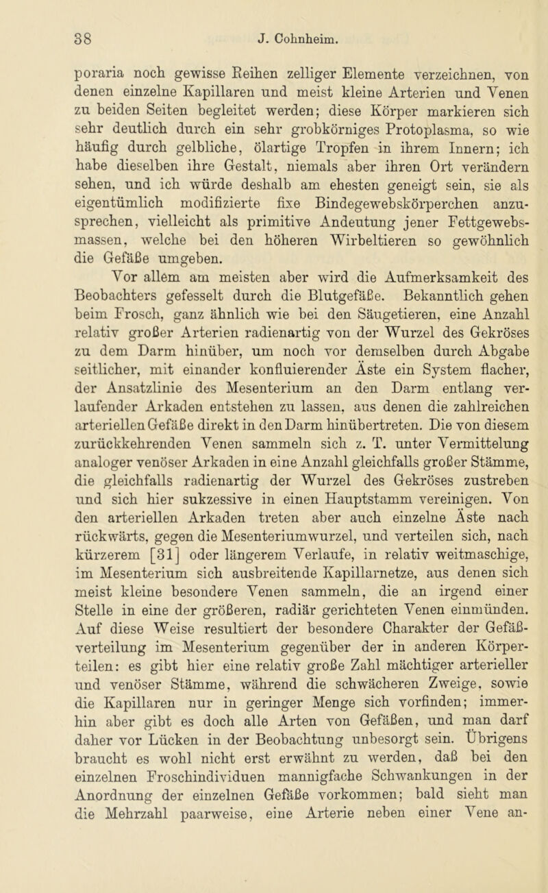 poraria noch gewisse Reihen zelliger Elemente verzeichnen, von denen einzelne Kapillaren und meist kleine Arterien und Venen zu beiden Seiten begleitet werden; diese Körper markieren sich sehr deutlich durch ein sehr grobkörniges Protoplasma, so wie häufig durch gelbliche, ölartige Tropfen in ihrem Innern; ich habe dieselben ihre Gestalt, niemals aber ihren Ort verändern sehen, und ich würde deshalb am ehesten geneigt sein, sie als eigentümlich modifizierte fixe Bindegewebskörperchen anzu- sprechen, vielleicht als primitive Andeutung jener Fettgewebs- massen, welche bei den höheren Wirbeltieren so gewöhnlich die Gefäße umgeben. Vor allem am meisten aber wird die Aufmerksamkeit des Beobachters gefesselt durch die Blutgefäße. Bekanntlich gehen beim Frosch, ganz ähnlich wie bei den Säugetieren, eine Anzahl relativ großer Arterien radienartig von der Wurzel des Gekröses zu dem Darm hinüber, um noch vor demselben durch Abgabe seitlicher, mit einander konfluierender Aste ein System flacher, der Ansatzlinie des Mesenterium an den Darm entlang ver- laufender Arkaden entstehen zu lassen, aus denen die zahlreichen arteriellen Gefäße direkt in den Darm hinübertreten. Die von diesem zurückkehrenden Venen sammeln sich z. T. unter Vermittelung analoger venöser Arkaden in eine Anzahl gleichfalls großer Stämme, die gleichfalls radienartig der Wurzel des Gekröses zustreben und sich hier sukzessive in einen Hauptstamm vereinigen. Von den arteriellen Arkaden treten aber auch einzelne Aste nach rückwärts, gegen die Mesenteriumwurzel, und verteilen sich, nach kürzerem [31] oder längerem Verlaufe, in relativ weitmaschige, im Mesenterium sich ausbreitende Kapillarnetze, aus denen sich meist kleine besondere Venen sammeln, die an irgend einer Stelle in eine der größeren, radiär gerichteten Venen einmünden. Auf diese Weise resultiert der besondere Charakter der Gefäß- verteilung im Mesenterium gegenüber der in anderen Körper- teilen: es gibt hier eine relativ große Zahl mächtiger arterieller und venöser Stämme, während die schwächeren Zweige, sowie die Kapillaren nur in geringer Menge sich vorfinden; immer- hin aber gibt es doch alle Arten von Gefäßen, und man darf daher vor Lücken in der Beobachtung unbesorgt sein. Übrigens braucht es wohl nicht erst erwähnt zu werden, daß bei den einzelnen Froschindividuen mannigfache Schwankungen in der Anordnung der einzelnen Gefäße verkommen; bald sieht man die Mehrzahl paarweise, eine Arterie neben einer Vene an-