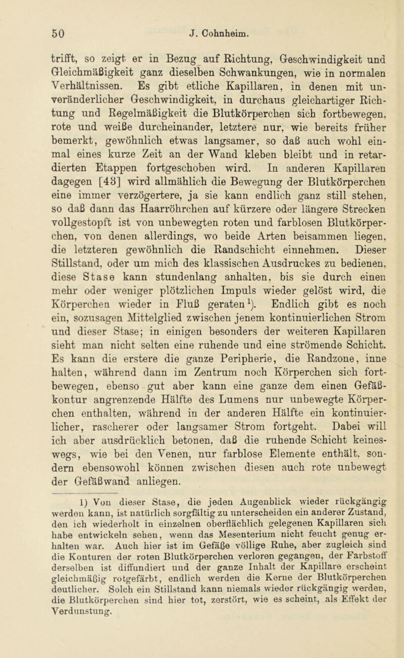 trifft, so zeigt er in Bezug auf Richtung, G-eschwindigkeit und Gleichmäßigkeit ganz dieselben Schwankungen, wie in normalen Verhältnissen. Es gibt etliche Kapillaren, in denen mit un- veränderlicher Geschwindigkeit, in durchaus gleichartiger Rich- tung und Regelmäßigkeit die Blutkörperchen sich fortbewegen, rote und weiße durcheinander, letztere nur, wie bereits früher bemerkt, gewöhnlich etwas langsamer, so daß auch wohl ein- mal eines kurze Zeit an der Wand kleben bleibt und in retar- dierten Etappen fortgeschoben wird. In anderen Kapillaren dagegen [48] wird allmählich die Bewegung der Blutkörperchen eine immer verzögertere, ja sie kann endlich ganz still stehen, so daß dann das Haarröhrchen auf kürzere oder längere Strecken vollgestopft ist von unbewegten roten und farblosen Blutkörper- chen, von denen allerdings, wo beide Arten beisammen liegen, die letzteren gewöhnlich die Randschicht einnehmen. Dieser Stillstand, oder um mich des klassischen Ausdruckes zu bedienen, diese Stase kann stundenlang anhalten, bis sie durch einen mehr oder weniger plötzlichen Impuls wieder gelöst wird, die Körperchen wieder in Fluß geraten ^). Endlich gibt es noch ein, sozusagen Mittelglied zwischen jenem kontinuierlichen Strom und dieser Stase; in einigen besonders der weiteren Kapillaren sieht man nicht selten eine ruhende und eine strömende Schicht. Es kann die erstere die ganze Peripherie, die Randzone, inne halten, während dann im Zentrum noch Körperchen sich fort- bewegen, ebenso gut aber kann eine ganze dem einen Gefäß- kontur angrenzende Hälfte des Lumens nur unbewegte Körper- chen enthalten, während in der anderen Hälfte ein kontinuier- licher, rascherer oder langsamer Strom fortgeht. Dabei will ich aber ausdrücklich betonen, daß die ruhende Schicht keines- wegs, wie bei den Venen, nur farblose Elemente enthält, son- dern ebensowohl können zwischen diesen auch rote unbewegt der Gefäßwand anliegen. 1) Von dieser Stase, die jeden Augenblick wieder rückgängig werden kann, ist natürlich sorgfältig zu unterscheiden ein anderer Zustand, den ich wiederholt in einzelnen oberflächlich gelegenen Kapillaren sich habe entwickeln sehen, wenn das Mesenterium nicht feucht genug er- halten war. Auch hier ist im Gefäße völlige Ruhe, aber zugleich sind die Konturen der roten Blutkörperchen verloren gegangen, der Farbstoff derselben ist diffundiert und der ganze Inhalt der Kapillare erscheint gleichmäßig rotgefärbt, endlich werden die Kerne der Blutkörperchen deutlicher. Solch ein Stillstand kann niemals wieder rückgängig werden, die Blutkörperchen sind hier tot, zerstört, wie es scheint, als Effekt der Verdunstung.