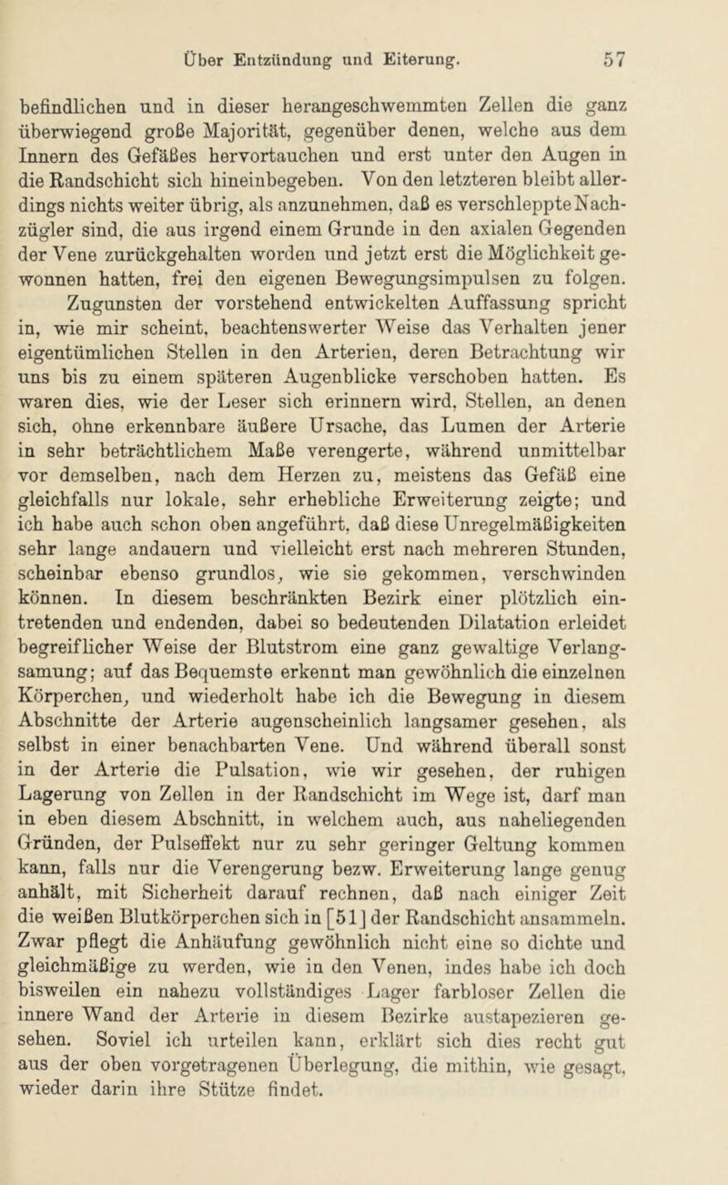 befindlichen und in dieser herangeschwemmten Zellen die ganz überwiegend große Majorität, gegenüber denen, welche aus dem Innern des Gefäßes hervortauchen und erst unter den Augen in die Randschicht sich hineinbegeben. Von den letzteren bleibt aller- dings nichts weiter übrig, als anzunehmen, daß es verschleppte Nach- zügler sind, die aus irgend einem Grunde in den axialen Gegenden der Vene zurückgehalten worden und jetzt erst die Möglichkeit ge- wonnen hatten, frei den eigenen Bewegungsimpulsen zu folgen. Zugunsten der vorstehend entwickelten Auffassung spricht in, wie mir scheint, beachtenswerter Weise das Verhalten jener eigentümlichen Stellen in den Arterien, deren Betrachtung wir uns bis zu einem späteren Augenblicke verschoben hatten. Es waren dies, wie der Leser sich erinnern wird, Stellen, an denen sich, ohne erkennbare äußere Ursache, das Lumen der Arterie in sehr beträchtlichem Maße verengerte, während unmittelbar vor demselben, nach dem Herzen zu, meistens das Gefäß eine gleichfalls nur lokale, sehr erhebliche Erweiterung zeigte; und ich habe auch schon oben angeführt, daß diese Unregelmäßigkeiten sehr lange andauern und vielleicht erst nach mehreren Stunden, scheinbar ebenso grundlos, wie sie gekommen, verschwinden können. In diesem beschränkten Bezirk einer plötzlich ein- tretenden und endenden, dabei so bedeutenden Dilatation erleidet begreiflicher Weise der Blutstrom eine ganz gewaltige Verlang- samung; auf das Bequemste erkennt man gewöhnlich die einzelnen Körperchen, und wiederholt habe ich die Bewegung in diesem Abschnitte der Arterie augenscheinlich langsamer gesehen, als selbst in einer benachbarten Vene. Und während überall sonst in der Arterie die Pulsation, wie wir gesehen, der ruhigen Lagerung von Zellen in der Randschicht im Wege ist, darf man in eben diesem Abschnitt, in welchem auch, aus naheliegenden Gründen, der PulsefTekt nur zu sehr geringer Geltung kommen kann, falls nur die Verengerung bezw. Erweiterung lange genug anhält, mit Sicherheit darauf rechnen, daß nach einiger Zeit die weißen Blutkörperchen sich in [51] der Randschicht ansammeln. Zwar pflegt die Anhäufung gewöhnlich nicht eine so dichte und gleichmäßige zu werden, wie in den Venen, indes habe ich doch bisweilen ein nahezu vollständiges Lager farbloser Zellen die innere Wand der Arterie in diesem Bezirke austapezieren ge- sehen. Soviel ich urteilen kann, erklärt sich dies recht srut aus der oben vorgetragenen Überlegung, die mithin, wie gesagt, wieder darin ihre Stütze findet.