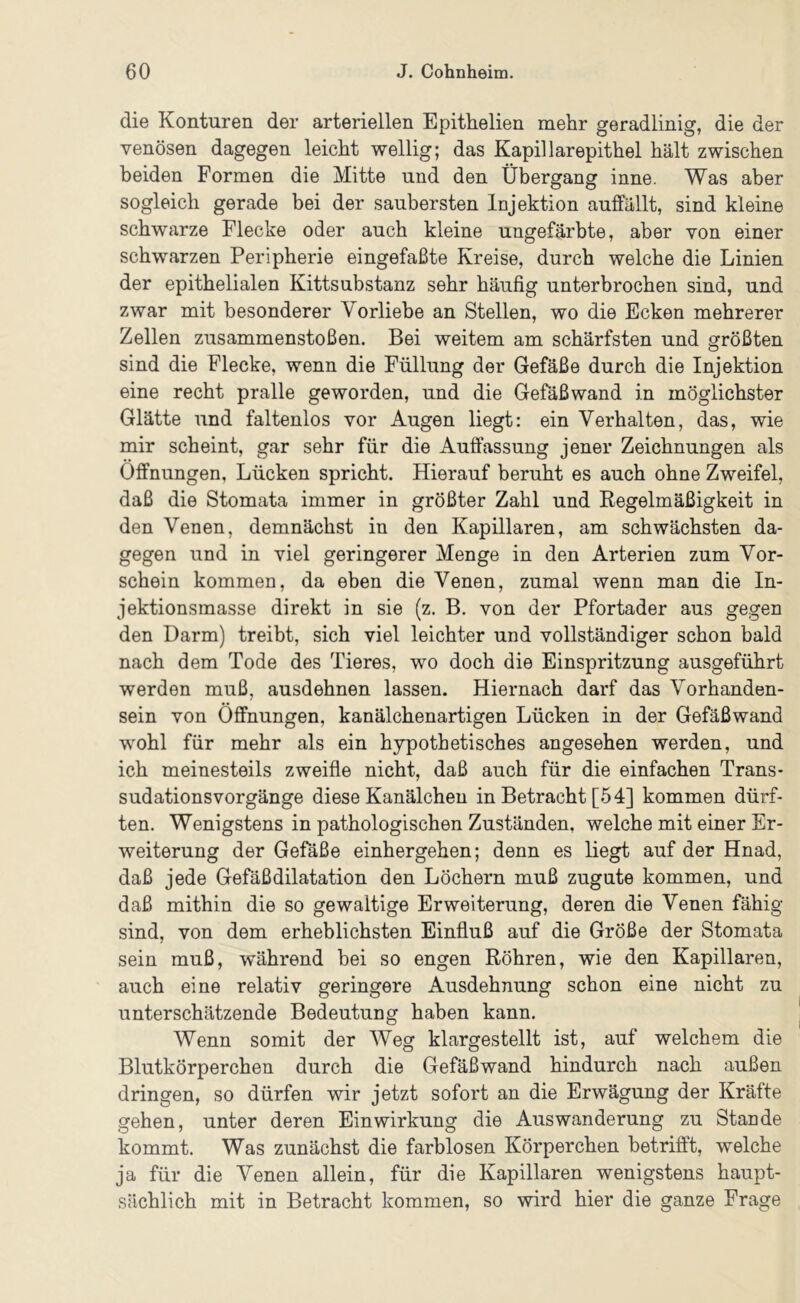 die Konturen der arteriellen Epithelien mehr geradlinig, die der venösen dagegen leicht wellig; das Kapillarepithel hält zwischen beiden Formen die Mitte und den Übergang inne. Was aber sogleich gerade bei der saubersten Injektion auffällt, sind kleine schwarze Flecke oder auch kleine ungefärbte, aber von einer schwarzen Peripherie eingefaßte Kreise, durch welche die Linien der epithelialen Kittsubstanz sehr häufig unterbrochen sind, und zwar mit besonderer Vorliebe an Stellen, wo die Ecken mehrerer Zellen Zusammenstößen. Bei weitem am schärfsten und größten sind die Flecke, wenn die Füllung der Gefäße durch die Injektion eine recht pralle geworden, und die Gefäßwand in möglichster Glätte und faltenlos vor Augen liegt: ein Verhalten, das, wie mir scheint, gar sehr für die Auffassung jener Zeichnungen als Öffnungen, Lücken spricht. Hierauf beruht es auch ohne Zweifel, daß die Stomata immer in größter Zahl und Regelmäßigkeit in den Venen, demnächst in den Kapillaren, am schwächsten da- gegen und in viel geringerer Menge in den Arterien zum Vor- schein kommen, da eben die Venen, zumal wenn man die In- jektionsmasse direkt in sie (z. B. von der Pfortader aus gegen den Darm) treibt, sich viel leichter und vollständiger schon bald nach dem Tode des Tieres, wo doch die Einspritzung ausgeführt werden muß, ausdehnen lassen. Hiernach darf das Vorhanden- sein von Öffnungen, kanälchenartigen Lücken in der Gefäßwand wohl für mehr als ein hypothetisches angesehen werden, und ich meinesteils zweifle nicht, daß auch für die einfachen Trans- sudationsvorgänge diese Kanälchen in Betracht [54] kommen dürf- ten. Wenigstens in pathologischen Zuständen, welche mit einer Er- weiterung der Gefäße einhergehen; denn es liegt auf der Hnad, daß jede Gefäßdilatation den Löchern muß zugute kommen, und daß mithin die so gewaltige Erweiterung, deren die Venen fähig sind, von dem erheblichsten Einfluß auf die Größe der Stomata sein muß, während bei so engen Röhren, wie den Kapillaren, auch eine relativ geringere Ausdehnung schon eine nicht zu unterschätzende Bedeutung haben kann. Wenn somit der Weg klargestellt ist, auf welchem die Blutkörperchen durch die Gefäßwand hindurch nach außen dringen, so dürfen wir jetzt sofort an die Erwägung der Kräfte gehen, unter deren Einwirkung die Auswanderung zu Stande kommt. Was zunächst die farblosen Körperchen betrifft, welche ja für die Venen allein, für die Kapillaren wenigstens haupt- sächlich mit in Betracht kommen, so wird hier die ganze Frage