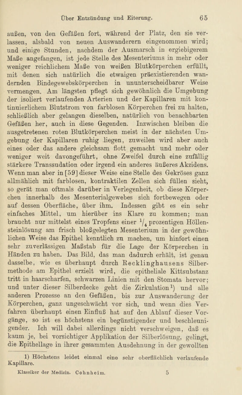 außen, von den Gefäßen fort, während der Platz, den sie ver- lassen, alsbald von neuen Auswanderern eingenommen wird; und einige Stunden, nachdem der Ausmarsch in ergiebigerem Maße angefangen, ist jede Stelle des Mesenteriums in mehr oder weniger reichlichem Maße von weißen Blutkörperchen erfüllt, mit denen sich natürlich die etwaigen präexistierenden wan- dernden Bindegewebskörperchen in ununterscheidbarer Weise vermengen. Am längsten pflegt sich gewöhnlich die Umgebung der isoliert verlaufenden Arterien und der Kapillaren mit kon- tinuierlichem Blutstrom von farblosen Körperchen frei zu halten, schließlich aber gelangen dieselben, natürlich von benachbarten Gefäßen her, auch in diese Gegenden. Inzwischen bleiben die ausgetretenen roten Blutkörperchen meist in der nächsten Um- gebung der Kapillaren ruhig liegen, zuweilen wird aber auch eines oder das andere gleichsam flott gemacht und mehr oder weniger weit davongeführt, ohne Zweifel durch eine zufällig stärkere Transsudation oder irgend ein anderes äußeres Akzidens. Wenn man aber in [59] dieser Weise eine Stelle des Gekröses ganz allmählich mit farblosen, kontraktilen Zellen sich füllen sieht, so gerät man oftmals darüber in Verlegenheit, ob diese Körper- chen innerhalb des Mesenterialgewebes sich fortbewegen oder auf dessen Oberfläche, über ihm. Indessen gibt es ein sehr einfaches Mittel, um hierüber ins Klare zu kommen; man braucht nur mittelst eines Tropfens einer prozentigen Höllen- steinlösung am frisch bloßgelegten Mesenterium in der gewöhn- lichen Weise das Epithel kenntlich zu machen, um hinfort einen sehr zuverlässigen Maßstab für die Lage der Körperchen in Händen zu haben. Das Bild, das man dadurch erhält, ist genau dasselbe, wie es überhaupt durch Recklinghausens Silber- methode am Epithel erzielt wird, die epitheliale Kittsubstanz tritt in haarscharfen, schwarzen Linien mit den Stomata hervor; und unter dieser Silberdecke geht die Zirkulation^) und alle anderen Prozesse an den Gefäßen, bis zur Auswanderung der Körperchen, ganz ungeschwächt vor sich, und wenn dies Ver- fahren überhaupt einen Einfluß hat auf den Ablauf dieser Vor- gänge, so ist es höchstens ein begünstigender und beschleuni- gender. Ich will dabei allerdings nicht verschweigen, daß es kaum je, bei vorsichtiger Applikation der Silberlösung, gelingt, die Epithellage in ihrer gesammten Ausdehnung in der gewollten 1) Höchstens leidet einmal eine sehr oberflächlich verlaufende Kapillare. Klassiker der Medizin. Cohnheim. 5