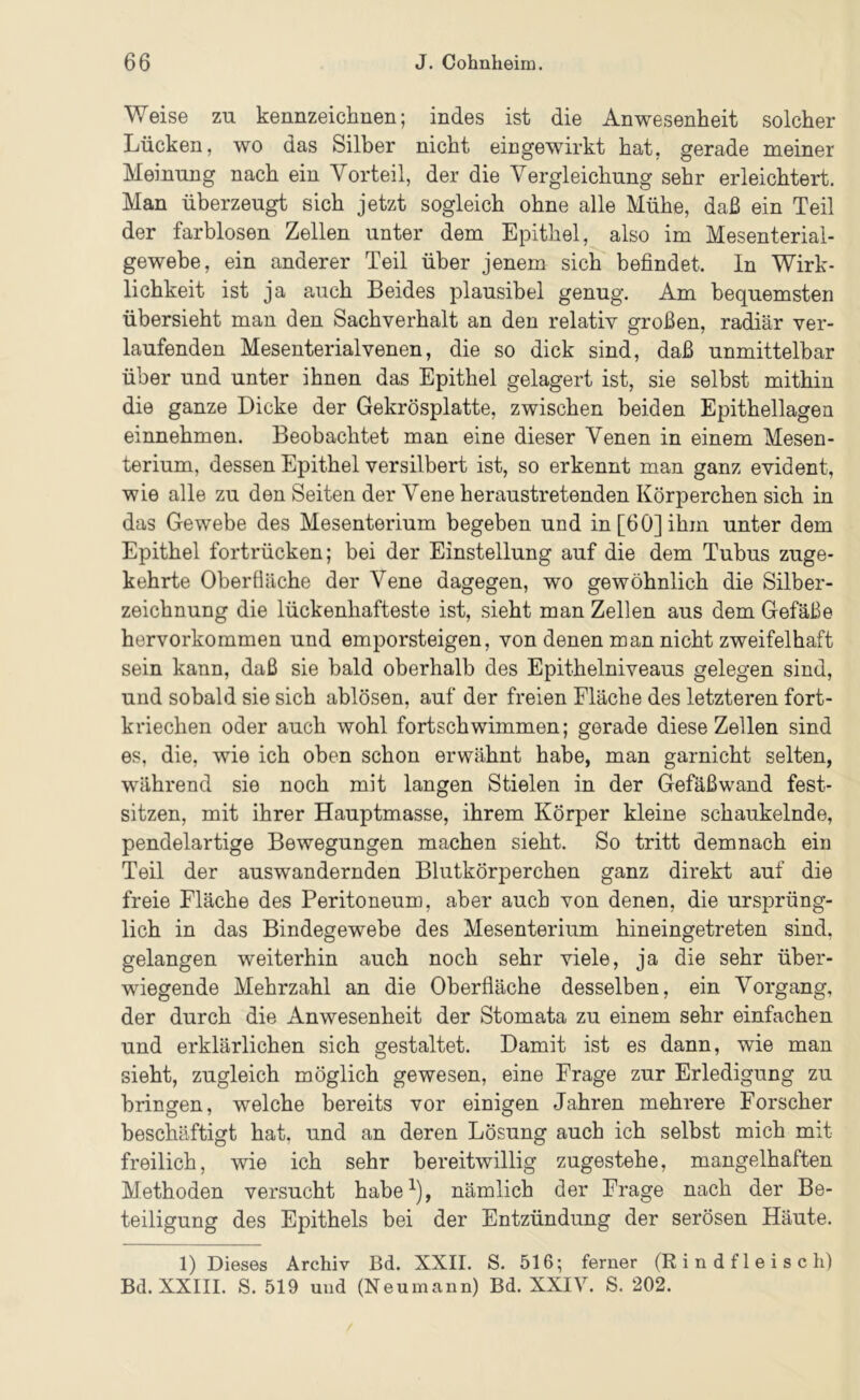 Weise zu kennzeichnen; indes ist die Anwesenheit solcher Lücken, wo das Silber nicht eingewirkt hat, gerade meiner Meinung nach ein Vorteil, der die Vergleichung sehr erleichtert. Man überzeugt sich jetzt sogleich ohne alle Mühe, daß ein Teil der farblosen Zellen unter dem Epithel, also im Mesenterial- gewebe, ein anderer Teil über jenem sich befindet. In Wirk- lichkeit ist ja auch Beides plausibel genug. Am bequemsten übersieht man den Sachverhalt an den relativ großen, radiär ver- laufenden Mesenterialvenen, die so dick sind, daß unmittelbar über und unter ihnen das Epithel gelagert ist, sie selbst mithin die ganze Dicke der Gekrösplatte, zwischen beiden Epithellagen einnehmen. Beobachtet man eine dieser Venen in einem Mesen- terium, dessen Epithel versilbert ist, so erkennt man ganz evident, wie alle zu den Seiten der Vene heraustretenden Körperchen sich in das Gewebe des Mesenterium begeben und in [60] ihm unter dem Epithel fortrücken; bei der Einstellung auf die dem Tubus zuge- kehrte Oberfläche der Vene dagegen, wo gewöhnlich die Silber- zeichnung die lückenhafteste ist, sieht man Zellen aus dem Gefäße hervorkommen und emporsteigen, von denen man nicht zweifelhaft sein kann, daß sie bald oberhalb des Epithelniveaus gelegen sind, und sobald sie sich ablösen, auf der freien Fläche des letzteren fort- kriechen oder auch wohl fortschwimmen; gerade diese Zellen sind es, die, wie ich oben schon erwähnt habe, man garnicht selten, während sie noch mit langen Stielen in der Gefäßwand fest- sitzen, mit ihrer Hauptmasse, ihrem Körper kleine schaukelnde, pendelartige Bewegungen machen sieht. So tritt demnach ein Teil der auswandernden Blutkörperchen ganz direkt auf die freie Fläche des Peritoneum, aber auch von denen, die ursprüng- lich in das Bindegewebe des Mesenterium hineingetreten sind, gelangen weiterhin auch noch sehr viele, ja die sehr über- wiegende Mehrzahl an die Oberfläche desselben, ein Vorgang, der durch die Anwesenheit der Stomata zu einem sehr einfachen und erklärlichen sich gestaltet. Damit ist es dann, wie man sieht, zugleich möglich gewesen, eine Frage zur Erledigung zu bringen, welche bereits vor einigen Jahren mehrere Forscher beschäftigt hat, und an deren Lösung auch ich selbst mich mit freilich, wie ich sehr bereitwillig zugestehe, mangelhaften Methoden versucht habe^), nämlich der Frage nach der Be- teiligung des Epithels bei der Entzündung der serösen Häute. 1) Dieses Archiv Bd. XXII. S. 516; ferner (Rindfleisch) Bd. XXIII. S. 519 und (Neumann) Bd. XXIV. S. 202.