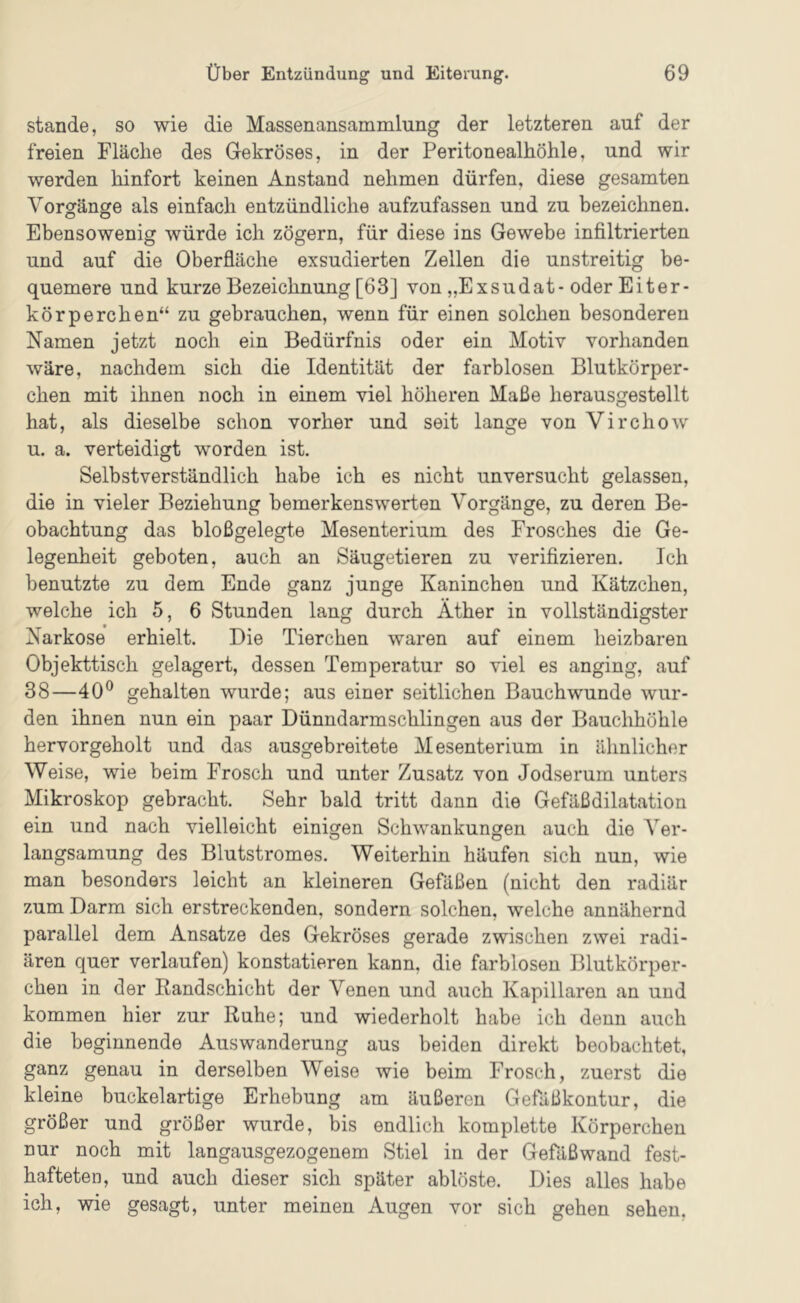 stände, so wie die Massenansammlung der letzteren auf der freien Fläche des Gekröses, in der Peritonealhöhle, und wir werden hinfort keinen Anstand nehmen dürfen, diese gesamten Vorgänge als einfach entzündliche aufzufassen und zu bezeichnen. Ebensowenig würde ich zögern, für diese ins Gewebe infiltrierten und auf die Oberfläche exsudierten Zellen die unstreitig be- quemere und kurze Bezeichnung [63] von „Exsudat-oder Eiter- körperchen“ zu gebrauchen, wenn für einen solchen besonderen Namen jetzt noch ein Bedürfnis oder ein Motiv vorhanden wäre, nachdem sich die Identität der farblosen Blutkörper- chen mit ihnen noch in einem viel höheren Maße herausgestellt hat, als dieselbe schon vorher und seit lange von Virchow u. a. verteidigt worden ist. Selbstverständlich habe ich es nicht unversucht gelassen, die in vieler Beziehung bemerkenswerten Vorgänge, zu deren Be- obachtung das bloßgelegte Mesenterium des Frosches die Ge- legenheit geboten, auch an Säugetieren zu verifizieren. Ich benutzte zu dem Ende ganz junge Kaninchen und Kätzchen, welche ich 5, 6 Stunden lang durch Äther in vollständigster Narkose erhielt. Die Tierchen waren auf einem heizbaren Objekttisch gelagert, dessen Temperatur so viel es anging, auf 38—40® gehalten wurde; aus einer seitlichen Bauchwunde wur- den ihnen nun ein paar Dünndarmschlingen aus der Bauchhöhle hervorgeholt und das ausgebreitete Mesenterium in ähnlicher Weise, wie beim Frosch und unter Zusatz von Jodserum unters Mikroskop gebracht. Sehr bald tritt dann die Gefäßdilatation ein und nach vielleicht einigen Schwankungen auch die Ver- langsamung des Blutstromes. Weiterhin häufen sich nun, wie man besonders leicht an kleineren Gefäßen (nicht den radiär zum Darm sich erstreckenden, sondern solchen, welche annähernd parallel dem Ansätze des Gekröses gerade zwischen zwei radi- ären quer verlaufen) konstatieren kann, die farblosen Blutkörper- chen in der Eandschicht der Venen und auch Kapillaren an und kommen hier zur Ruhe; und wiederholt habe ich denn auch die beginnende Auswanderung aus beiden direkt beobachtet, ganz genau in derselben Weise wie beim Frosch, zuerst die kleine buckelartige Erhebung am äußeren Gefäßkontur, die größer und größer wurde, bis endlich komplette Körperchen nur noch mit langausgezogenem Stiel in der Gefäßwand fest- hafteten, und auch dieser sich später ablöste. Dies alles habe ich, wie gesagt, unter meinen Augen vor sich gehen sehen.