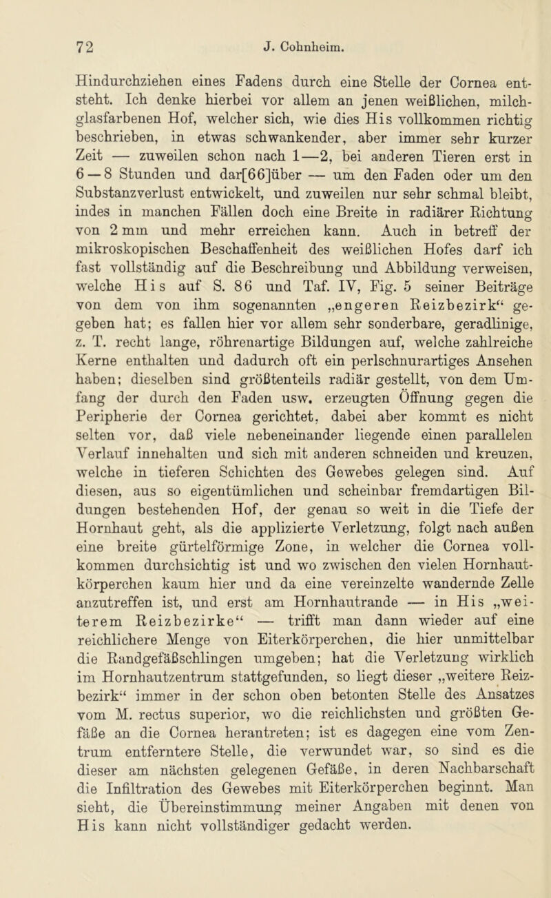 Hindurchziehen eines Fadens durch eine Stelle der Cornea ent- steht. Ich denke hierbei vor allem an jenen weißlichen, milch- glasfarhenen Hof, welcher sich, wie dies His vollkommen richtig beschrieben, in etwas schwankender, aber immer sehr kurzer Zeit — zuweilen schon nach 1—2, bei anderen Tieren erst in 6 — 8 Stunden und dar[66]über — um den Faden oder um den Substanzverlust entwickelt, und zuweilen nur sehr schmal bleibt, indes in manchen Fällen doch eine Breite in radiärer Richtung von 2 mm und mehr erreichen kann. Auch in betreff der mikroskopischen Beschaffenheit des weißlichen Hofes darf ich fast vollständig auf die Beschreibung und Abbildung verweisen, welche His auf S. 8 6 und Taf. IV, Fig. 5 seiner Beiträge von dem von ihm sogenannten „engeren Reizbezirk^‘ ge- geben hat; es fallen hier vor allem sehr sonderbare, geradlinige, z. T. recht lange, röhrenartige Bildungen auf, welche zahlreiche Kerne enthalten und dadurch oft ein perlschnurartiges Ansehen haben; dieselben sind größtenteils radiär gestellt, von dem Um- fang der durch den Faden usw. erzeugten Öffnung gegen die Peripherie der Cornea gerichtet, dabei aber kommt es nicht selten vor, daß viele nebeneinander liegende einen parallelen Verlauf innehalten und sich mit anderen schneiden und kreuzen, welche in tieferen Schichten des Gewebes gelegen sind. Auf diesen, aus so eigentümlichen und scheinbar fremdartigen Bil- dungen bestehenden Hof, der genau so weit in die Tiefe der Hornhaut geht, als die applizierte Verletzung, folgt nach außen eine breite gürtelförmige Zone, in welcher die Cornea voll- kommen durchsichtig ist und wo zwischen den vielen Hornhaut- körperchen kaum hier und da eine vereinzelte wandernde Zelle anzutreffen ist, und erst am Hornhautrande — in His „wei- terem Reizbezirke“ — trifft man dann wieder auf eine reichlichere Menge von Eiterkörperchen, die hier unmittelbar die Randgefäßschlingen umgeben; hat die Verletzung wirklich im Hornhautzentrum stattgefunden, so liegt dieser „weitere Reiz- bezirk“ immer in der schon oben betonten Stelle des Ansatzes vom M. rectus superior, wo die reichlichsten und größten Ge- fäße an die Cornea herantreten; ist es dagegen eine vom Zen- trum entferntere Stelle, die verwundet war, so sind es die dieser am nächsten gelegenen Gefäße, in deren Nachbarschaft die Infiltration des Gewebes mit Eiterkörperchen beginnt. Man sieht, die Übereinstimmung meiner Angaben mit denen von His kann nicht vollständiger gedacht werden.