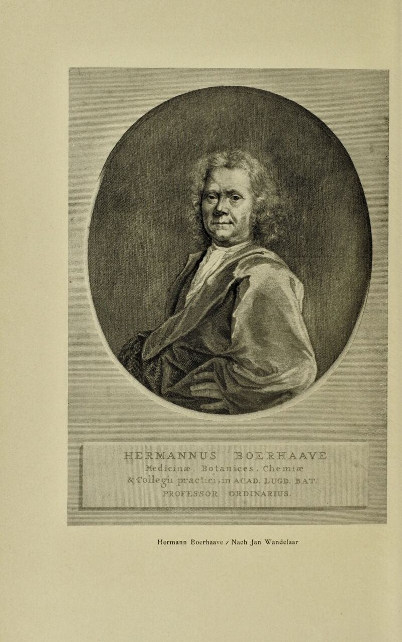 boxähaavi Hermann Eoerhaave / Nach Jan Wandelaar