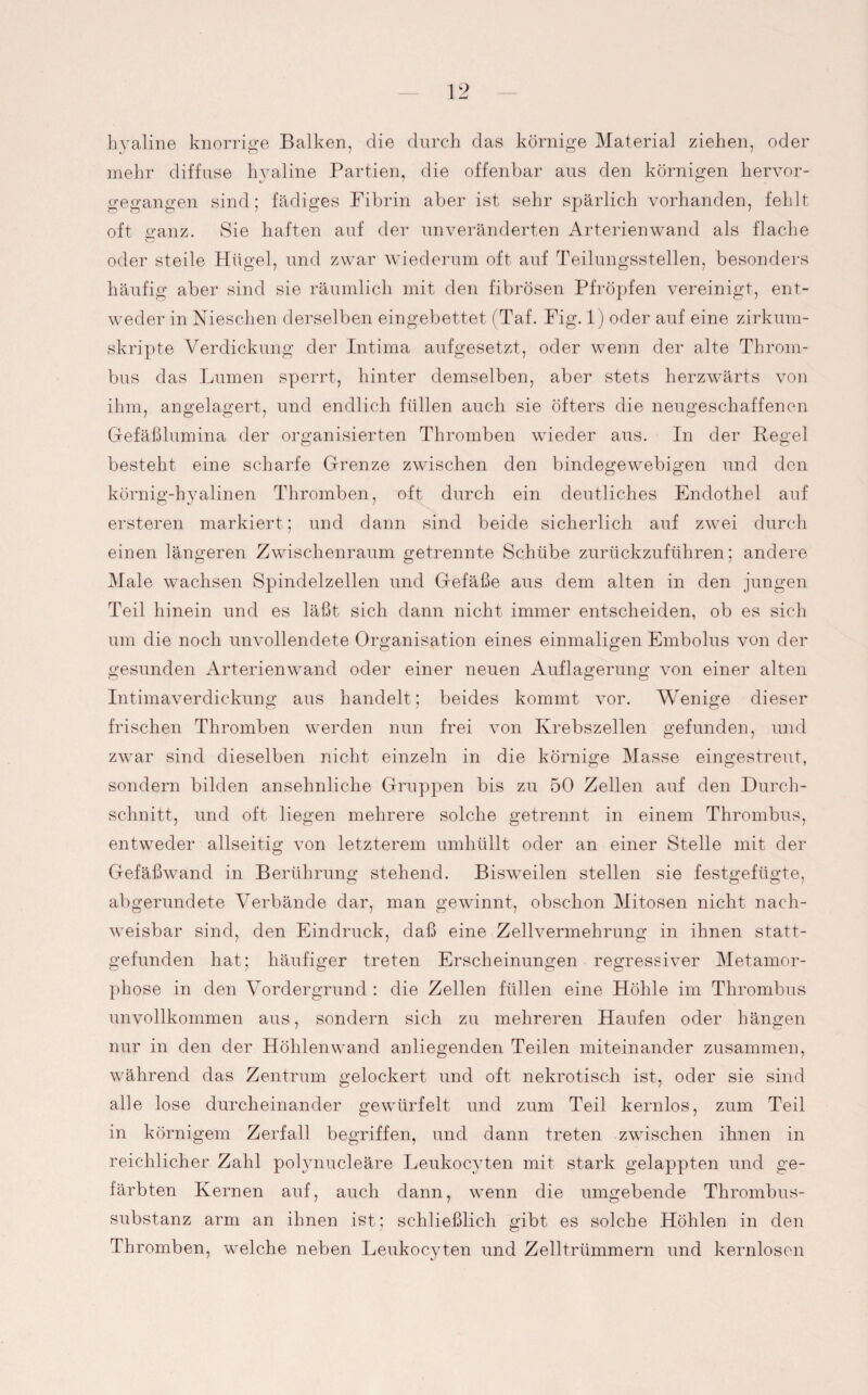 hyaline knorrige Balken, die durch das körnige Material ziehen, oder mehr diffuse hyaline Partien, die offenbar aus den körnigen hervor¬ gegangen sind; fädiges Fibrin aber ist sehr spärlich vorhanden, fehlt oft ganz. Sie haften auf der unveränderten Arterienwand als flache oder steile Hügel, und zwar wiederum oft auf Teilungsstellen, besonders häufig aber sind sie räumlich mit den fibrösen Pfropfen vereinigt, ent¬ weder in Nieschen derselben eingebettet (Taf. Fig. 1) oder auf eine zirkum¬ skripte Verdickung der Intima aufgesetzt, oder wenn der alte Throm¬ bus das Lumen sperrt, hinter demselben, aber stets herzwärts von ihm, angelagert, und endlich füllen auch sie öfters die neua’eschaffenen Gefäßlumina der organisierten Thromben wieder aus. In der Pegel besteht eine scharfe Grenze zwischen den bindegewebigen und den körnig-hyalinen Thromben, oft durch ein deutliches Endothel auf ersteren markiert; und dann sind beide sicherlich auf zwei durch einen längeren Zwischenraum getrennte Schübe zurückzuführen; andere Male wachsen Spindelzellen und Gefäße aus dem alten in den jungen Teil hinein und es läßt sich dann nicht immer entscheiden, ob es sich um die noch unvollendete Organisation eines einmaligen Embolus von der gesunden Arterienwand oder einer neuen Auflagerung von einer alten Intimaverdickung aus handelt; beides kommt vor. Wenige dieser frischen Thromben werden nun frei von Krebszellen gefunden, und zwar sind dieselben nicht einzeln in die körnige Masse eingestreut, sondern bilden ansehnliche Gruppen bis zu 50 Zellen auf den Durch¬ schnitt, und oft liegen mehrere solche getrennt in einem Thrombus, entweder allseitig von letzterem umhüllt oder an einer Stelle mit der Gefäßwand in Berührung stehend. Bisweilen stellen sie festgefügte, abgerundete Verbände dar, man gewinnt, obschon Mitosen nicht nach¬ weisbar sind, den Eindruck, daß eine Zellvermehrung in ihnen statt¬ gefunden hat; häufiger treten Erscheinungen regressiver Metamor¬ phose in den Vordergrund : die Zellen füllen eine Höhle im Thrombus unvollkommen aus, sondern sich zu mehreren Haufen oder hängen nur in den der Höhlenwand anliegenden Teilen miteinander zusammen, während das Zentrum gelockert und oft nekrotisch ist, oder sie sind alle lose durcheinander gewürfelt und zum Teil kernlos, zum Teil in körnigem Zerfall begriffen, und dann treten zwischen ihnen in reichlicher Zahl polynucleäre Leukocyten mit stark gelappten und ge¬ färbten Kernen auf, auch dann, wenn die umgebende Thrombus¬ substanz arm an ihnen ist; schließlich gibt es solche Höhlen in den Thromben, welche neben Leukocyten und Zelltrümmern und kernlosen