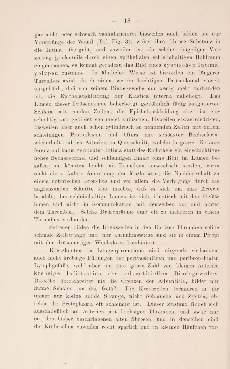 srar nicht oder schwach vaskularisiert; bisweilen auch bilden sie nur Vorsprünge der Wand (Taf. Fig. 3), wobei ihre fibröse Substanz in die Intima übergeht, und zuweilen ist ein solcher hügeliger Vor¬ sprung großenteils durch einen epithelialen schleimhaltigen Hohlraum eingenommen, es kommt geradezu das Bild eines zystischen Intima¬ polypen zustande. In ähnlicher Weise ist bisweilen ein längerer Thrombus axial durch einen weiten buehtigen Drüsenkanal soweit ausgehöhlt, daß von seinem Bindegewebe nur wenig mehr vorhanden ist, die Epithelauskleidung der Elastica interna naheliegt. Das Lumen dieser Drüsenräume beherbergt gewöhnlich fädig koagulierten Schleim mit runden Zellen; die Epithelauskleidung aber ist ein¬ schichtig und gebildet von meist kubischen, bisweilen etwas niedrigen, bisweilen aber auch schon zylindrisch zu nennenden Zellen mit hellem schleimigen Protoplasma und öfters mit schönster Becherform: wiederholt traf ich Arterien im Querschnitt, welche in ganzer Zirkum- ferenz auf kaum verdickter Intima statt des Endothels ein einschichtiges hohes Becherepithel und schleimigen Inhalt ohne Blut im Lumen be¬ saßen ; sie könnten leicht mit Bronchien verwechselt werden, wenn nicht die zirkuläre Anordnung der Muskulatur, die Nachbarschaft zu einem notorischen Bronchus und vor allem die Verfolgung durch die angrenzenden Schnitte klar machte, daß es sich um eine Arterie handelt; das schleimhaltige Lumen ist nicht identisch mit dem Gefäß¬ lumen und nicht in Kommunikation mit demselben vor und hinter dem Thrombus. Solche Drüsenräume sind oft zu mehreren in einem Thrombus vorhanden. Seltener bilden die Krebszellen in den fibrösen Thromben solide schmale Zellstränge und nur ausnahmsweise sind sie in einem Pfropf mit der drüsenartigen Wuchsform kombiniert. Krebsknoten im Lungenparenchym sind nirgends vorhanden, auch nicht krebsige Füllungen der perivaskulären und peribronchialen Lymphgefäße, wohl aber um eine ganze Zahl von kleinen Arterien krebsige Infiltration des adv entiti eilen Bindegewebes. Dieselbe überschreitet nie die Grenzen der Adventit.ia, bildet nur dünne Schalen um das Gefäß. Die Krebszellen formieren in ihr immer nur kleine solide Stränge, nicht Schläuche und Zysten, ob¬ schon ihr Protoplasma oft schleimig ist. Dieser Zustand findet sich ausschließlich an Arterien mit krebsigen Thromben, und zwar nur mit den bisher beschriebenen alten fibrösen, und in denselben sind die Krebszellen zuweilen recht spärlich und in kleinen Häufchen vor-