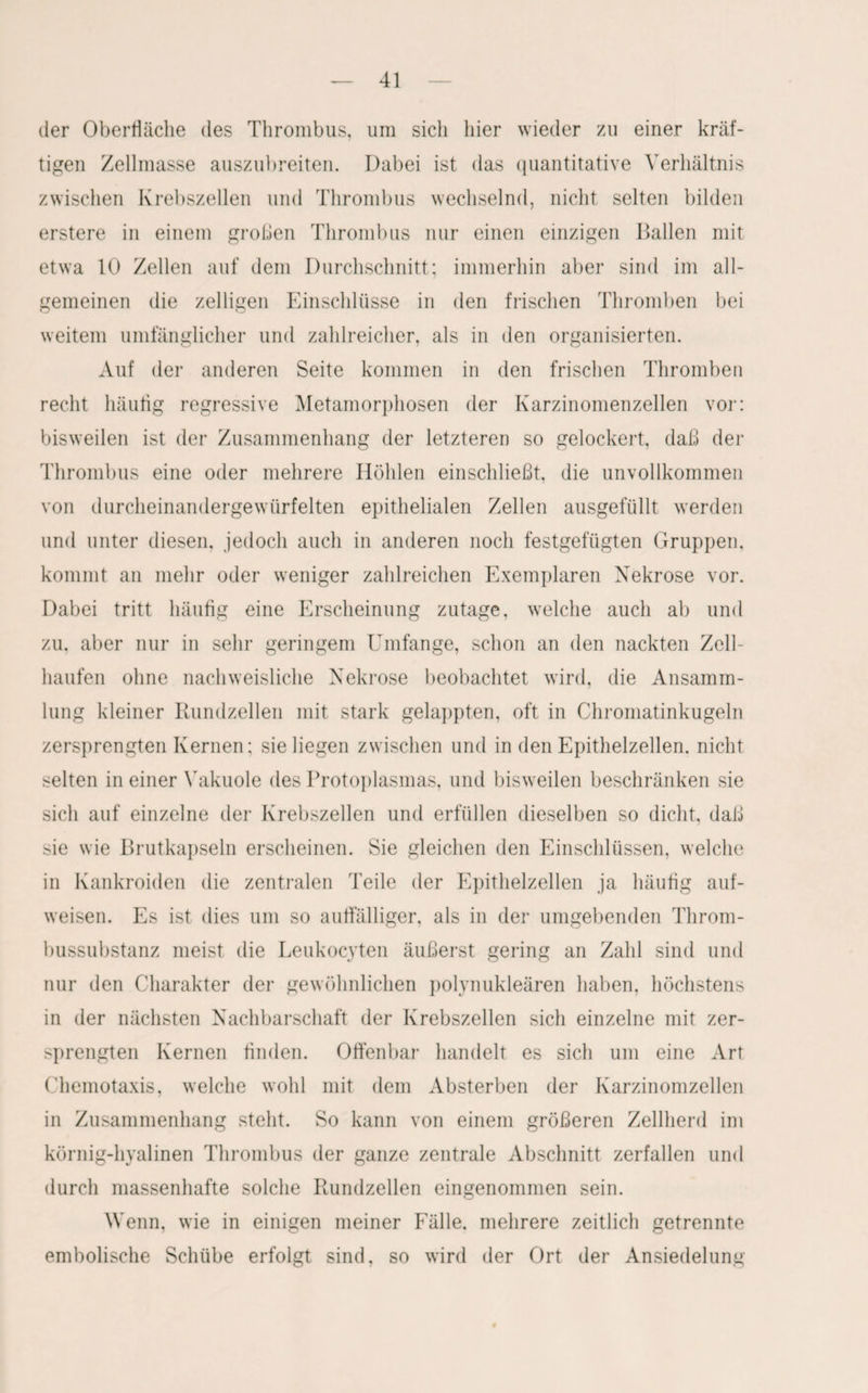 der Oberfläche des Thrombus, um sich hier wieder zu einer kräf¬ tigen Zellmasse auszubreiten. Dabei ist das quantitative Verhältnis zwischen Krebszellen und Thrombus wechselnd, nicht selten bilden erstere in einem großen Thrombus nur einen einzigen Ballen mit etwa 10 Zellen auf dem Durchschnitt; immerhin aber sind im all¬ gemeinen die zelligen Einschlüsse in den frischen Thromben bei weitem umfänglicher und zahlreicher, als in den organisierten. Auf der anderen Seite kommen in den frischen Thromben recht häutig regressive Metamorphosen der Karzinomenzellen vor: bisweilen ist der Zusammenhang der letzteren so gelockert, daß der Thrombus eine oder mehrere Höhlen einschließt, die unvollkommen von durcheinandergewürfelten epithelialen Zellen ausgefüllt werden und unter diesen, jedoch auch in anderen noch festgefügten Gruppen, kommt an mehr oder weniger zahlreichen Exemplaren Nekrose vor. Dabei tritt häufig eine Erscheinung zutage, welche auch ab und zu. aber nur in sehr geringem Umfange, schon an den nackten Zell¬ haufen ohne nachweisliche Nekrose beobachtet wird, die Ansamm¬ lung kleiner Rundzellen mit stark gelappten, oft in Chromatinkugeln zersprengten Kernen; sie liegen zwischen und in den Epithelzellen, nicht selten in einer Vakuole des Protoplasmas, und bisweilen beschränken sie sich auf einzelne der Krebszellen und erfüllen dieselben so dicht, daß sie wie Brutkapseln erscheinen. Sie gleichen den Einschlüssen, welche in Kankroiden die zentralen Teile der Epithelzellen ja häufig auf¬ weisen. Es ist dies um so auffälliger, als in der umgebenden Throm¬ bussubstanz meist die Leukocyten äußerst gering an Zahl sind und nur den Charakter der gewöhnlichen polynukleären haben, höchstens in der nächsten Nachbarschaft der Krebszellen sich einzelne mit zer¬ sprengten Kernen finden. Offenbar handelt es sich um eine Art Chemotaxis, welche wohl mit dem Absterben der Karzinomzellen in Zusammenhang steht. So kann von einem größeren Zellherd im körnig-hyalinen Thrombus der ganze zentrale Abschnitt zerfallen und durch massenhafte solche Rundzellen eingenommen sein. Wenn, wie in einigen meiner Fälle, mehrere zeitlich getrennte embolische Schübe erfolgt sind, so wird der Ort der Ansiedelung