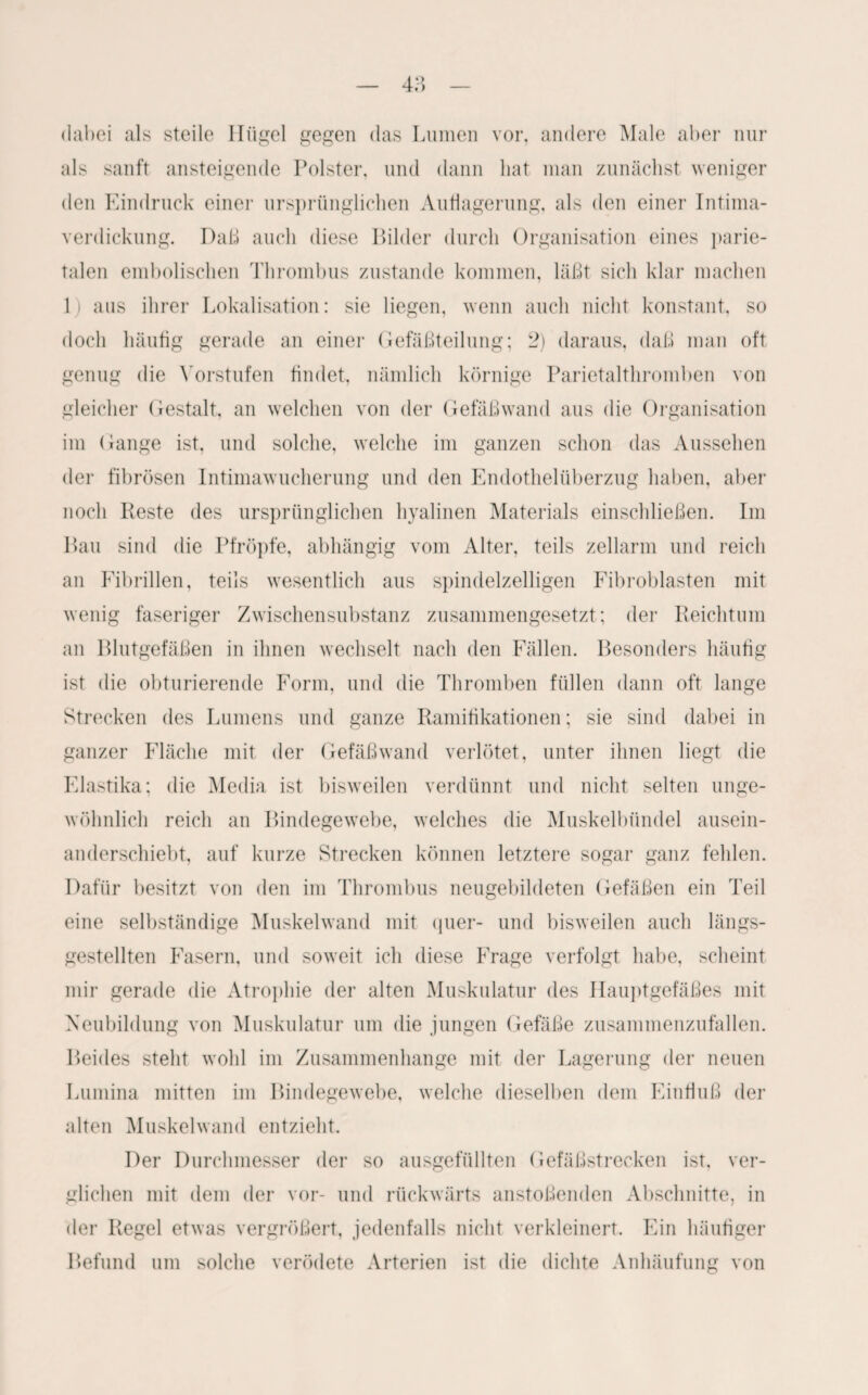 4ä dabei als steile Hügel gegen das Lumen vor, andere Male aber nur als sanft ansteigende Polster, und dann hat man zunächst weniger den Eindruck einer ursprünglichen Auflagerung, als den einer Intima¬ verdickung. Daß auch diese Bilder durch Organisation eines parie¬ talen embolischen Thrombus zustande kommen, läßt sich klar machen 1) aus ihrer Lokalisation: sie liegen, wenn auch nicht konstant, so doch häufig gerade an einer Gefäßteilung; 2) daraus, daß man oft genug die Vorstufen findet, nämlich körnige Parietalthromben von gleicher Gestalt, an welchen von der Gefäßwand aus die Organisation im Gange ist, und solche, welche im ganzen schon das Aussehen der fibrösen Intimawucherung und den Endothelüberzug haben, aber noch Reste des ursprünglichen hyalinen Materials einschließen. Im Bau sind die Pfropfe, abhängig vom Alter, teils zellarm und reich an Fibrillen, teils wesentlich aus spindelzelligen Fibroblasten mit wenig faseriger Zwischensubstanz zusammengesetzt; der Reichtum an Blutgefäßen in ihnen wechselt nach den Fällen. Besonders häufig ist die obturierende Form, und die Thromben füllen dann oft lange Strecken des Lumens und ganze Ramitikationen; sie sind dabei in ganzer Fläche mit der Gefäßwand verlötet, unter ihnen liegt die Flastika; die Media ist bisweilen verdünnt und nicht selten unge¬ wöhnlich reich an Bindegewebe, welches die Muskelbündel ausein¬ anderschiebt, auf kurze Strecken können letztere sogar ganz fehlen. Dafür besitzt von den im Thrombus neugebildeten Gefäßen ein Teil eine selbständige Muskelwand mit quer- und bisweilen auch längs¬ gestellten Fasern, und soweit ich diese Frage verfolgt habe, scheint mir gerade die Atrophie der alten Muskulatur des Hauptgefäßes mit Neubildung von Muskulatur um die jungen Gefäße zusammenzufallen. Beides steht wohl im Zusammenhänge mit der Lagerung der neuen Lumina mitten im Bindegewebe, welche dieselben dem Einfluß der alten Muskelwand entzieht. Der Durchmesser der so ausgefüllten Gefäßstrecken ist, ver¬ glichen mit dem der vor- und rückwärts anstoßenden Abschnitte, in der Regel etwas vergrößert, jedenfalls nicht verkleinert. Ein häufiger Befund um solche verödete Arterien ist die dichte Anhäufung von