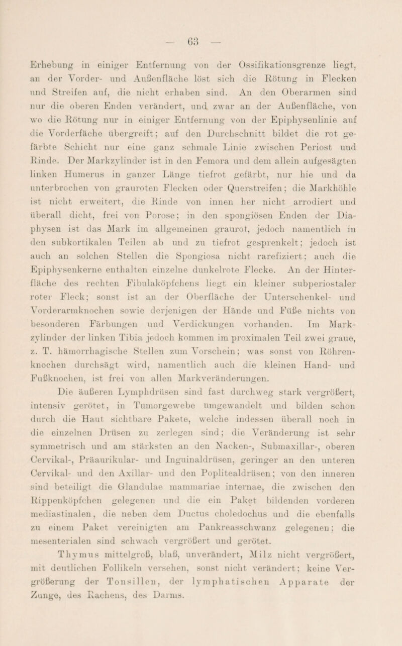 an der Vorder- und Außenfläche löst sich die Rötung in Flecken und Streifen auf, die nicht erhaben sind. An den Oberarmen sind nur die oberen Enden verändert, und zwar an der Außenfläche, von wo die Rötung nur in einiger Entfernung von der Epiphysenlinie auf die Vorderfäche übergreift; auf den Durchschnitt bildet die rot ge¬ färbte Schicht nur eine ganz schmale Linie zwischen Periost und Rinde. Der Markzylinder ist in den Femora und dem allein aufgesägten linken Humerus in ganzer Länge tiefrot gefärbt, nur hie und da unterbrochen von grauroten Flecken oder Querstreifen; die Markhöhle ist nicht erweitert, die Rinde von innen her nicht arrodiert und überall dicht, frei von Porose; in den spongiösen Enden der Dia- physen ist das Mark im allgemeinen graurot, jedoch namentlich in den subkortikalen Teilen ab und zu tiefrot gesprenkelt; jedoch ist auch an solchen Stellen die Spongiosa nicht rarefiziert; auch die Epiphysenkerne enthalten einzelne dunkelrote Flecke. An der Hinter¬ fläche des rechten Fibulaköpfchens liegt ein kleiner subperiostaler roter Fleck; sonst ist an der Oberfläche der Unterschenkel- und Vorderarmknochen sowie derjenigen der Hände und Füße nichts von besonderen Färbungen und Verdickungen vorhanden. Im Mark¬ zylinder der linken Tibia jedoch kommen im proximalen Teil zwei graue, z. T. hämorrhagische Stellen zum Vorschein; was sonst von Röhren¬ knochen durchsägt wird, namentlich auch die kleinen Hand- und Fußknochen, ist frei von allen Markveränderungen. Die äußeren Lyinphdrüsen sind fast durchweg stark vergrößert, intensiv gerötet, in Tumorgewebe umgewandelt und bilden schon durch die Haut sichtbare Pakete, welche indessen überall noch in die einzelnen Drüsen zu zerlegen sind; die Veränderung ist sehr symmetrisch und am stärksten an den Nacken-, Submaxillar-, oberen Cervikal-, Präaurikular- und Inguinaldrüsen, geringer an den unteren Cervikal- und den Axillar- und den Poplitealdriisen; von den inneren sind beteiligt die Glandulae mammariae internae, die zwischen den Kippenköpfchen gelegenen und die ein Paket bildenden vorderen mediastinalen, die neben dem Ductus choledochus und die ebenfalls zu einem Paket vereinigten am Pankreasschwanz gelegenen; die mesenterialen sind schwach vergrößert und gerötet. Thymus mittelgroß, blaß, unverändert, Milz nicht vergrößert, mit deutlichen Follikeln versehen, sonst nicht verändert; keine Ver¬ größerung der Tonsillen, der lymphatischen Apparate der Zunge, des Rachens, des Darms.