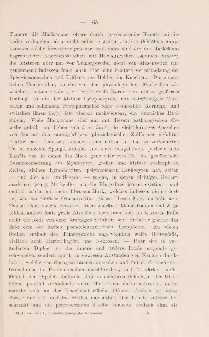 Tumors die Markräume öfters durch perforierende Kanäle mitein¬ ander verbunden, aber nicht selbst erweitert; in der Schläfenschuppe kommen solche Erweiterungen vor, und dann sind die die Markräume begrenzenden Knochenbälkchen mit HowsHlPSchen Lakunen besetzt, die letzteren aber nur von Tumorgewebe, nicht von Kiesenzellen ein¬ genommen; indessen fehlt auch hier eine breitere Verschmelzung der Spongiosamaschen und Bildung von Höhlen im Knochen. Die eigent¬ lichen Tumorzellen, welche von den physiologischen Markzellen ab¬ weichen, haben runde oder leicht ovale Kerne von etwas größerem Umfang als die der kleinen Lymphocyten, mit netzförmigem Chro¬ matin und schmalem Protoplasmahof ohne eosinophile Körnung, und zwischen ihnen liegt, fast überall nachweisbar, ein deutliches Reti¬ kulum. Viele Markräume sind nur mit diesem pathologischen Ge¬ webe gefüllt und heben sich dann durch ihr gleichförmiges Aussehen von den mit den mannigfaltigen physiologischen Zellfonnen gefüllten deutlich ab. Indessen kommen auch mitten in den so veränderten Teilen einzelne Spongiosaräume und auch neugebildete perforierende Kanäle vor, in denen das Mark ganz oder zum Teil die gewöhnliche Zusammensetzung aus Myelocyten, großen und kleinen eosinophilen Zellen, kleinen Lymphocyten, polynucleären Leukoeyten hat, selten und dies nur am Schädel — solche, in denen richtiges Gallert¬ mark mit wenig Markzellen um die Blutgefäße herum existiert, und endlich solche mit mehr fibrösem Mark, welches indessen nie so derb ist, wie bei fibröser Osteomyelitis; dieses fibröse Mark enthält stets Tumorzellen, welche bisweilen dicht gedrängt kleine Haufen und Züge bilden, andere Male große Alveolen; doch kann auch im letzteren Falle nicht die Rede von einer krebsigen Struktur sein; vielmehr gleicht das Bild dem der harten pseudoleukämischen Lymphome. An vielen Stellen enthält das Tumorgewebe ungewöhnlich weite Blutgefäße, vielfach auch Hämorrhagien und Nekrosen. — Uber der so ver¬ änderten Diploe ist die innere und äußere Rinde nirgends ge¬ schwunden, sondern nur 1. in gewissen Abständen von Känälen durch¬ bohrt, welche von Spongiosaräumen ausgehen und mit stark buchtigen Grenzlinien die Rindenlamellen durchbrechen, und 2. stärker porös, ähnlich der Dipoloe, dadurch, daß in mehreren Schichten der Ober¬ fläche parallel verlaufende weite Markräume darin auf treten, deren manche sich an der Knochenoberfläche öffnen. Jedoch ist diese Porose nur auf einzelne Stellen namentlich der Tabula interna be¬ schränkt und die perforierenden Kanäle kommen vielfach ohne sie M. B. Schmidt, Verbreitungswege der Karzinome. ü