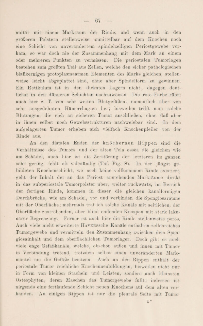 nuität mit einem Markraum der Rinde, und wenn auch in den größeren Polstern stellenweise unmittelbar auf dem Knochen noch eine Schicht von unverändertem spindelzelligen Periostgewebe vor¬ kam, so war doch nie der Zusammenhang mit dem Mark an einem oder mehreren Punkten zu vermissen. Die periostalen Tumorlagen bestehen zum größten Teil aus Zellen, welche den sicher pathologischen blaßkernigen protoplasmaarmen Elementen des Marks gleichen, stellen¬ weise leicht abgeplattet sind, ohne aber Spindelform zu gewinnen. Ein Retikulum ist in den dicksten Lagern nicht, dagegen deut- 1 ich st in den dünneren Schichten nachzuweisen. Die rote Farbe rührt auch hier z. T. von sehr weiten Blutgefäßen, namentlich aber von sehr ausgedehnten Hämorrhagien her; bisweilen trifft man solche Blutungen, die sich an sicheren Tumor anschließen, ohne daß aber in ihnen selbst noch Gewebsstrukturen nachweisbar sind. In dem aufgelagerten Tumor erheben sich vielfach Knochenpfeiler von der Rinde aus. An den distalen Enden der knöchernen Rippen sind die Verhältnisse des Tumors und der alten Tela ossea die gleichen wie am Schädel, auch hier ist die Zerstörung der letzteren im ganzen sehr gering, fehlt oft vollständig (Taf. Fig. 8). In der jüngst ge¬ bildeten Knochenschicht, wo noch keine vollkommene Rinde existiert, geht der Inhalt der an das Periost anstehenden Markräume direkt in das subperiostale Tumorpolster über, weiter rückwärts, im Bereich der fertigen Rinde, kommen in dieser die gleichen kanalförmigen Durchbrüche, wie am Schädel, vor und verbinden die Spongiosaräume mit der Oberfläche; mehrmals traf ich solche Kanäle mit seitlichen, der Oberfläche zustrebenden, aber blind endenden Knospen mit stark laku¬ närer Begrenzung. Ferner ist auch hier die Rinde stellenweise porös. Auch viele nicht erweiterte ÜAVERSsehe Kanäle enthalten zellenreiches Tumorgewebe und vermitteln den Zusammenhang zwischen dem Spon¬ giosainhalt und dem oberflächlichen Tumorlager. Doch gibt es auch viele enge Gefäßkanäle, welche, obschon außen und innen mit Tumor in Verbindung tretend, trotzdem selbst einen unveränderten Mark¬ mantel um die Gefäße besitzen. Auch an den Rippen enthält der periostale Tumor reichliche Knochenneubildungen, bisweilen nicht nur in Form von kleinen Stacheln und Leisten, sondern auch kleinsten Osteophyten, deren Maschen das Tumorgewebe füllt; indessen ist nirgends eine fortlaufende Schicht neuen Knochens auf dem alten vor¬ handen. An einigen Rippen ist nur die pleurale Seite mit Tumor