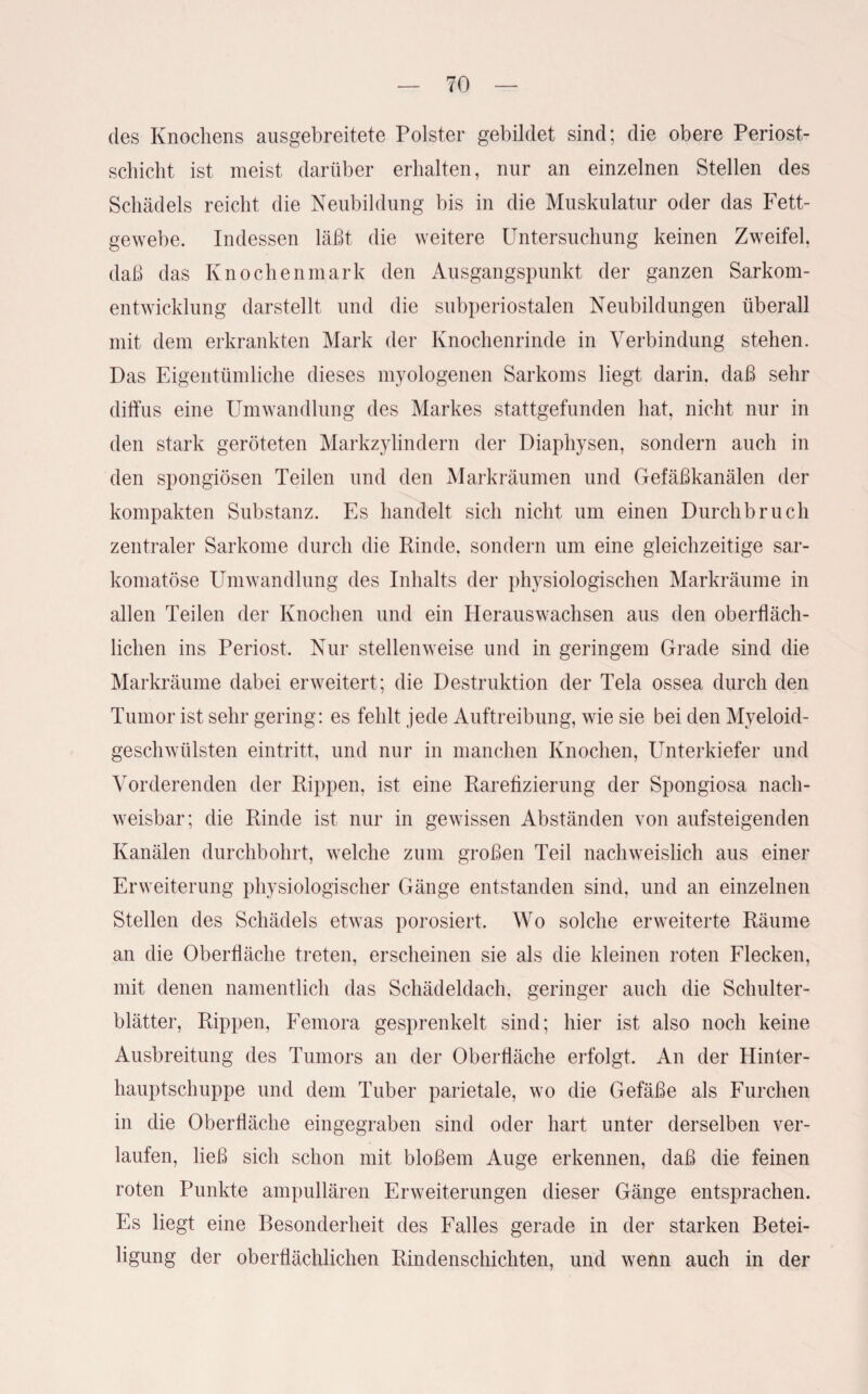 des Knochens ausgebreitete Polster gebildet sind; die obere Periost- schicht ist meist darüber erhalten, nur an einzelnen Stellen des Schädels reicht die Neubildung bis in die Muskulatur oder das Fett¬ gewebe. Indessen läßt die weitere Untersuchung keinen Zweifel, daß das Knochenmark den Ausgangspunkt der ganzen Sarkom¬ entwicklung darstellt und die subperiostalen Neubildungen überall mit dem erkrankten Mark der Knochenrinde in Verbindung stehen. Das Eigentümliche dieses myologenen Sarkoms liegt darin, daß sehr diffus eine Umwandlung des Markes stattgefunden hat, nicht nur in den stark geröteten Markzylindern der Diaphysen, sondern auch in den spongiösen Teilen und den Markräumen und Gefäßkanälen der kompakten Substanz. Es handelt sich nicht um einen Durchbruch zentraler Sarkome durch die Rinde, sondern um eine gleichzeitige sar- komatöse Umwandlung des Inhalts der physiologischen Markräume in allen Teilen der Knochen und ein Herauswachsen aus den oberfläch¬ lichen ins Periost. Nur stellenweise und in geringem Grade sind die Markräume dabei erweitert; die Destruktion der Tela ossea durch den Tumor ist sehr gering: es fehlt jede Auftreibung, wie sie bei den Myeloid- geschwtilsten eintritt, und nur in manchen Knochen, Unterkiefer und Vorderenden der Rippen, ist eine Rarefizierung der Spongiosa nach¬ weisbar; die Rinde ist nur in gewissen Abständen von aufsteigenden Kanälen durchbohrt, welche zum großen Teil nachweislich aus einer Erweiterung physiologischer Gänge entstanden sind, und an einzelnen Stellen des Schädels etwas porosiert. Wo solche erweiterte Räume an die Oberfläche treten, erscheinen sie als die kleinen roten Flecken, mit denen namentlich das Schädeldach, geringer auch die Schulter¬ blätter, Rippen, Femora gesprenkelt sind; hier ist also noch keine Ausbreitung des Tumors an der Oberfläche erfolgt. An der Hinter¬ hauptschuppe und dem Tuber parietale, wo die Gefäße als Furchen in die Oberfläche eingegraben sind oder hart unter derselben ver¬ laufen, ließ sich schon mit bloßem Auge erkennen, daß die feinen roten Punkte ampullären Erweiterungen dieser Gänge entsprachen. Es liegt eine Besonderheit des Falles gerade in der starken Betei¬ ligung der oberflächlichen Rindenschichten, und wenn auch in der