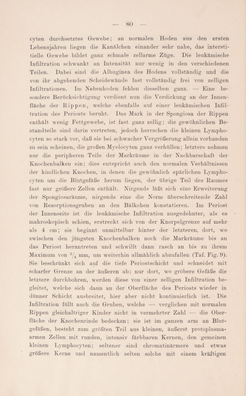 cyten durchsetztes Gewebe; an normalen Hoden aus den ersten Lebensjahren liegen die Kanälchen einander sehr nahe, das intersti¬ tielle Gewebe bildet ganz schmale zellarme Züge. Die leukämische Infiltration schwankt an Intensität nur wenig in den verschiedenen Teilen. Dabei sind die Albuginea des Hodens vollständig und die von ihr abgehenden Scheidewände fast vollständig frei von zelligen Infiltrationen. Im Nebenhoden fehlen dieselben ganz. — Eine be¬ sondere Berücksichtigung verdient nun die Verdickung an der Innen¬ fläche der Kippen, wTelche ebenfalls auf einer leukämischen Infil¬ tration des Periosts beruht. Das Mark in der Spongiosa der Kippen enthält wenig Fettgewebe, ist fast ganz zellig; die gewöhnlichen Be¬ standteile sind darin vertreten, jedoch herrschen die kleinen Lympho- cyten so stark vor, daß sie bei schwacher Vergrößerung allein vorhanden zu sein scheinen, die großen Myelocyten ganz verhüllen; letztere nehmen nur die peripheren Teile der Markräume in der Nachbarschaft der Knochenbalken ein; dies entspricht auch den normalen Verhältnissen der kindlichen Knochen, in denen die gewöhnlich spärlichen Lympho- cyten um die Blutgefäße herum liegen, der übrige Teil des Raumes fast nur größere Zellen enthält. Nirgends läßt sich eine Erweiterung der Spongiosaräume, nirgends eine die Norm überschreitende Zahl von Resorptionsgruben an den Bälkchen konstatieren. Im Periost der Innenseite ist die leukämische Infiltration ausgedehnter, als es makroskopisch schien, erstreckt sich von der Knorpelgrenze auf mehr als 4 cm; sie beginnt unmittelbar hinter der letzteren, dort, wo zwischen den jüngsten Knochenbalken noch die Markräume bis an das Periost herantreten und schwillt dann rasch an bis zu ihrem Maximum von 3/4 mm, um weiterhin allmählich abzufallen (Tai. Eig. 9). Sie beschränkt sich auf die tiefe Periostschicht und schneidet mit scharfer Grenze an der äußeren ab; nur dort, wo gröbere Gefäße die letztere durchbohren, werden diese von einer zelligen Infiltration be¬ gleitet, wrelche sich dann an der Oberfläche des Periosts wieder in dünner Schicht ausbreitet, hier aber nicht kontinuierlich ist. Die Infiltration füllt auch die Gruben, welche — verglichen mit normalen Rippen gleichaltriger Kinder nicht in vermehrter Zahl — die Ober¬ fläche der Knochenrinde bedecken; sie ist im ganzen arm an Blut¬ gefäßen, besteht zum größten Teil aus kleinen, äußerst protoplasma¬ armen Zellen mit runden, intensiv färbbaren Kernen, den gemeinen kleinen Lymphocyten; seltener sind chromatinärmere und etwras größere Kerne und namentlich selten solche mit einem kräftigen