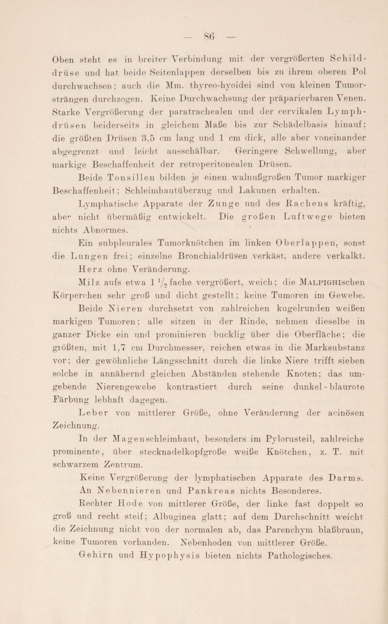 drüse und hat beide Seitenlappen derselben bis zu ihrem oberen Pol durchwachsen ; auch die Mm. thyreo-hyoidei sind von kleinen Tumor¬ strängen durchzogen. Keine Durchwachsung der präparierbaren Venen. Starke Vergrößerung der paratrachealen und der eervikalen Lympli- drüsen beiderseits in gleichem Maße bis zur Schädelbasis hinauf: die größten Drüsen 3,5 cm lang und 1 cm dick, alle aber voneinander abgegrenzt und leicht ausschälbar. Geringere Schwellung, aber markige Beschaffenheit der retroperitonealen Drüsen. Beide Tonsillen bilden je einen walnußgroßen Tumor markiger Beschaffenheit; Schleimhautüberzug und Lakunen erhalten. Lymphatische Apparate der Zunge und des Lachens kräftig, aber nicht übermäßig entwickelt. Die großen Luftwege bieten nichts Abnormes. Ein subpleurales Tumorknötchen im linken Oberlappen, sonst die Lungen frei; einzelne Bronchialdrüsen verkäst, andere verkalkt. Herz ohne Veränderung. Milz aufs etwa 1 '/9 fache vergrößert, weich; die MALPiGHischen Körperchen sehr groß und dicht gestellt; keine Tumoren im Gewebe. Beide Nieren durchsetzt von zahlreichen kugelrunden weißen markigen Tumoren; alle sitzen in der Rinde, nehmen dieselbe in ganzer Dicke ein und prominieren bucklig über die Oberfläche; die größten, mit 1,7 ein Durchmesser, reichen etwas in die Marksubstanz vor; der gewöhnliche Längsschnitt durch die linke Niere trifft sieben solche in annähernd gleichen Abständen stehende Knoten; das um¬ gebende Nierengewebe kontrastiert durch seine dunkel - blaurote Färbung lebhaft dagegen. Leber von mittlerer Größe, ohne Veränderung der acinösen Zeichnung. In der Magenschleimhaut, besonders im Pylorusteil, zahlreiche prominente, über stecknadelkopfgroße weiße Knötchen, z. T. mit schwarzem Zentrum. Keine Vergrößerung der lymphatischen Apparate des Darms. An Nebennieren und Pankreas nichts Besonderes. Rechter Ho de von mittlerer Größe, der linke fast doppelt so groß und recht steif; Albuginea glatt; auf dem Durchschnitt weicht die Zeichnung nicht von der normalen ab, das Parenchym blaßbraun, keine Tumoren vorhanden. Nebenhoden von mittlerer Größe. Gehirn und Hypophysis bieten nichts Pathologisches.