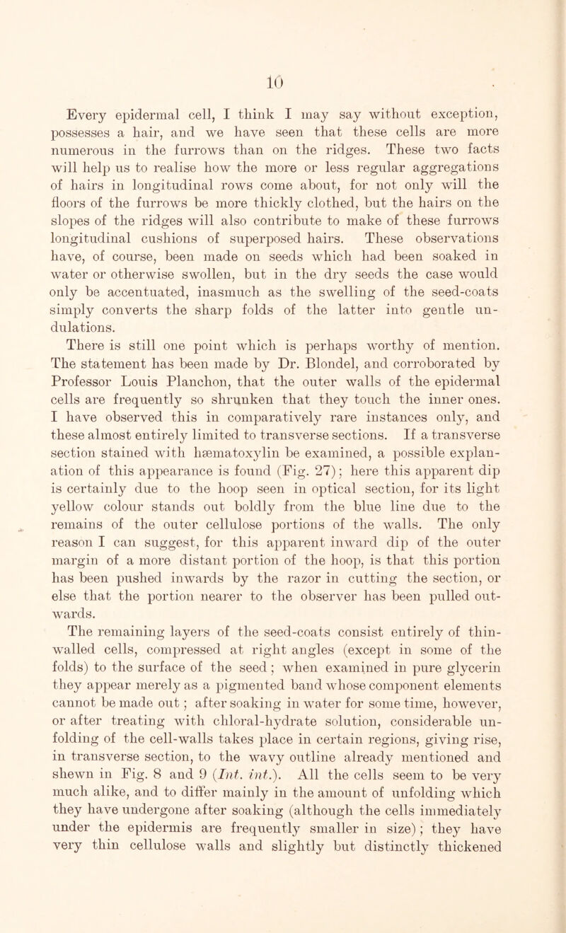 Every epidermal cell, I think I may say without exception, possesses a hair, and we have seen that these cells are more numerous in the furrows than on the ridges. These two facts will help us to realise how the more or less regular aggregations of hairs in longitudinal rows come about, for not only will the floors of the furrows be more thickly clothed, but the hairs on the slopes of the ridges will also contribute to make of these furrows longitudinal cushions of superposed hairs. These observations have, of course, been made on seeds which had been soaked in water or otherwise swollen, but in the dry seeds the case would only be accentuated, inasmuch as the swelling of the seed-coats simply converts the sharp folds of the latter into gentle un- dulations. There is still one point which is perhaps worthy of mention. The statement has been made by Dr. Blondel, and corroborated by Professor Louis Planchon, that the outer walls of the epidermal cells are frequently so shrunken that they touch the inner ones. I have observed this in comparatively rare instances only, and these almost entirely limited to transverse sections. If a transverse section stained with hmmatoxylin be examined, a possible explan- ation of this appearance is found (Pig. 27); here this apparent dip is certainly due to the hoop seen in optical section, for its light yellow colour stands out boldly from the blue line due to the remains of the outer cellulose portions of the walls. The only reason I can suggest, for this apparent inward dip of the outer margin of a more distant portion of the hoop, is that this portion has been pushed inwards by the razor in cutting the section, or else that the portion nearer to the observer has been pulled out- wards. The remaining layers of the seed-coats consist entirely of thin- walled cells, compressed at right angles (except in some of the folds) to the surface of the seed; when examined in pure glycerin they appear merely as a pigmented band whose component elements cannot be made out; after soaking in water for some time, however, or after treating with chloral-hydrate solution, considerable un- folding of the cell-walls takes place in certain regions, giving rise, in transverse section, to the wavy outline already mentioned and shewn in Pig. 8 and 9 (Int. mt.). All the cells seem to be very much alike, and to differ mainly in the amount of unfolding which they have undergone after soaking (although the cells immediately under the epidermis are frequently smaller in size); they have very thin cellulose walls and slightly but distinctly thickened