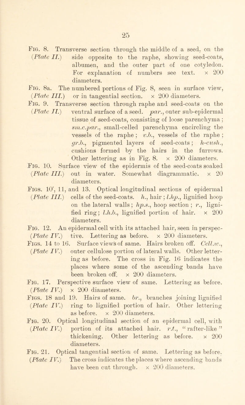 Fig. 8. Transverse section through the middle of a seed, on the {Plate II.) side opposite to the raphe, showing seed-coats, albumen, and the outer part of one cotyledon. For explanation of numbers see text. x 200 diameters. Fig. 8a. The numbered portions of Fig. 8, seen in surface view, {Plate III.) or in tangential section. x 200 diameters. Fig. 9. Transverse section through raphe and seed-coats on the {Plate II.) ventral surface of a seed, par., outer sub-epidermal tissue of seed-coats, consisting of loose parenchyma; sm.c.jyar., small-celled parenchyma encircling the vessels of the raphe ; v.b., vessels of the raphe ; gr.b.j pigmented layers of seed-coats; li-cush.^ cushions formed by the hairs in the furrows. Other lettering as in Fig. 8. x 200 diameters. Fig. 10. Surface view of the epidermis of the seed-coats soaked {Plate III.) out in water. Somewhat diagrammatic. x 20 diameters. Figs. 10', 11, and 13. Optical longitudinal sections of epidermal {Plate III.) cells of the seed-coats. 7g, hair ; l.lip.., lignified hoop on the lateral walls; lip.s.., hoop section ; r., ligni- fied ring; l.h.b.^ lignified portion of hair. x 200 diameters. Fig. 12. An epidermal cell with its attached hair, seen in perspec- {Plate IV.) tive. Lettering as before, x 200 diameters. Figs. 14 to 16. Surface views of same. Hairs broken off. CeU.iu., {Plate IV.) outer cellulose portion of lateral walls. Other letter- ing as before. The cross in Fig. 16 indicates the places where some of the ascending bands have been broken off, x 200 diameters. Fig. 17. Perspective surface view of same. Lettering as before. {Plate IV.) X 200 diameters. Figs. 18 and 19. Hairs of same. 7>r., branches joining lignified {Plate IV.) ring to lignified portion of hair. Other lettering as before. x 200 diameters. Fig. 20. Optical longitudinal section of an epidermal cell, with {Plate IV.) portion of its attached hair, r.t., “ rafter-like ” thickening. Other lettering as before. x 200 diameters. Fig. 21. Optical tangential section of same. Lettering as before. {Plate IV.) The cross indicates the places where ascending bands have been cut through, x 200 diameters.