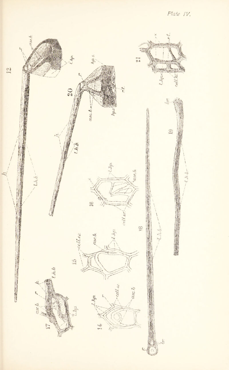 •^xf^ i CX> mf t 1 \ O' i / Ml