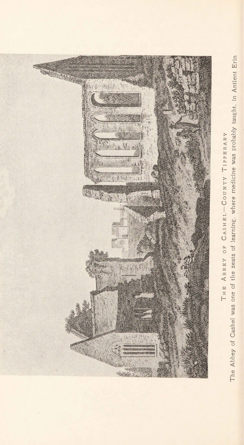 The Abbey of Cashel was one of the seats of learning, where medicine was probably taught, in Antient Erin